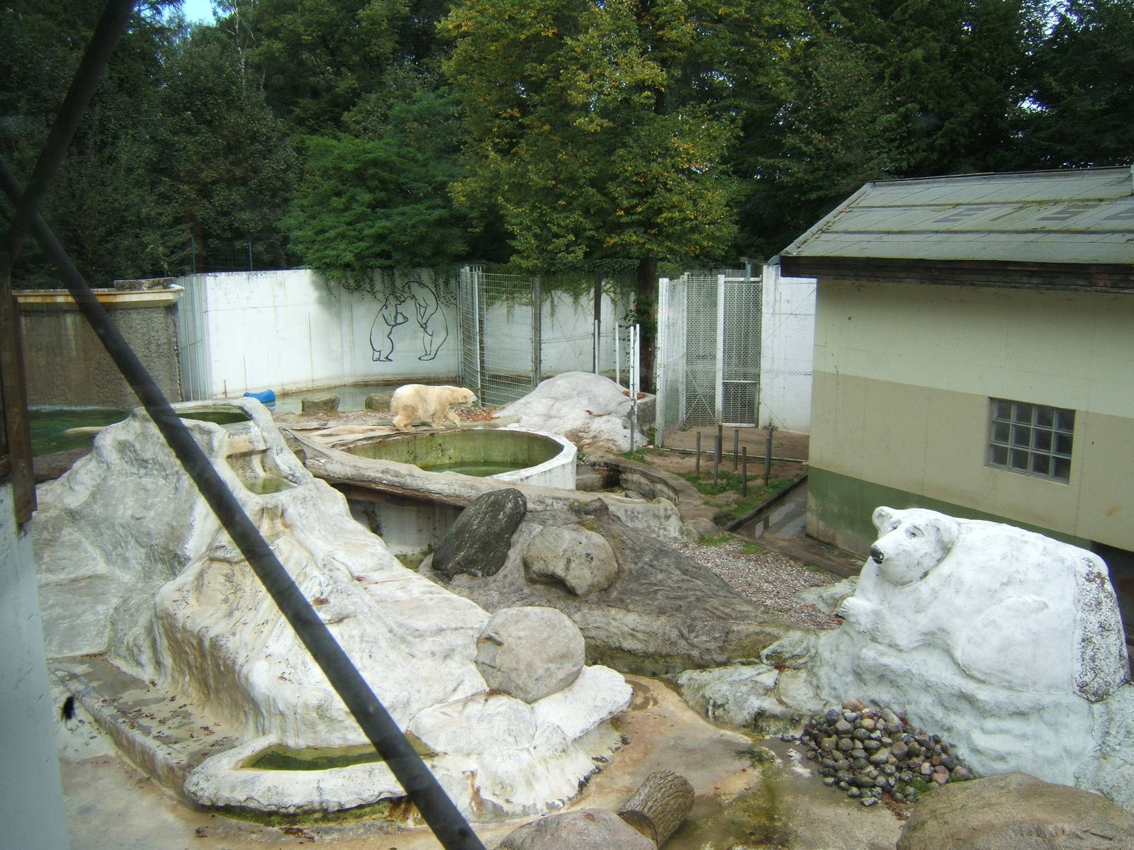 Polar Bear enclosure