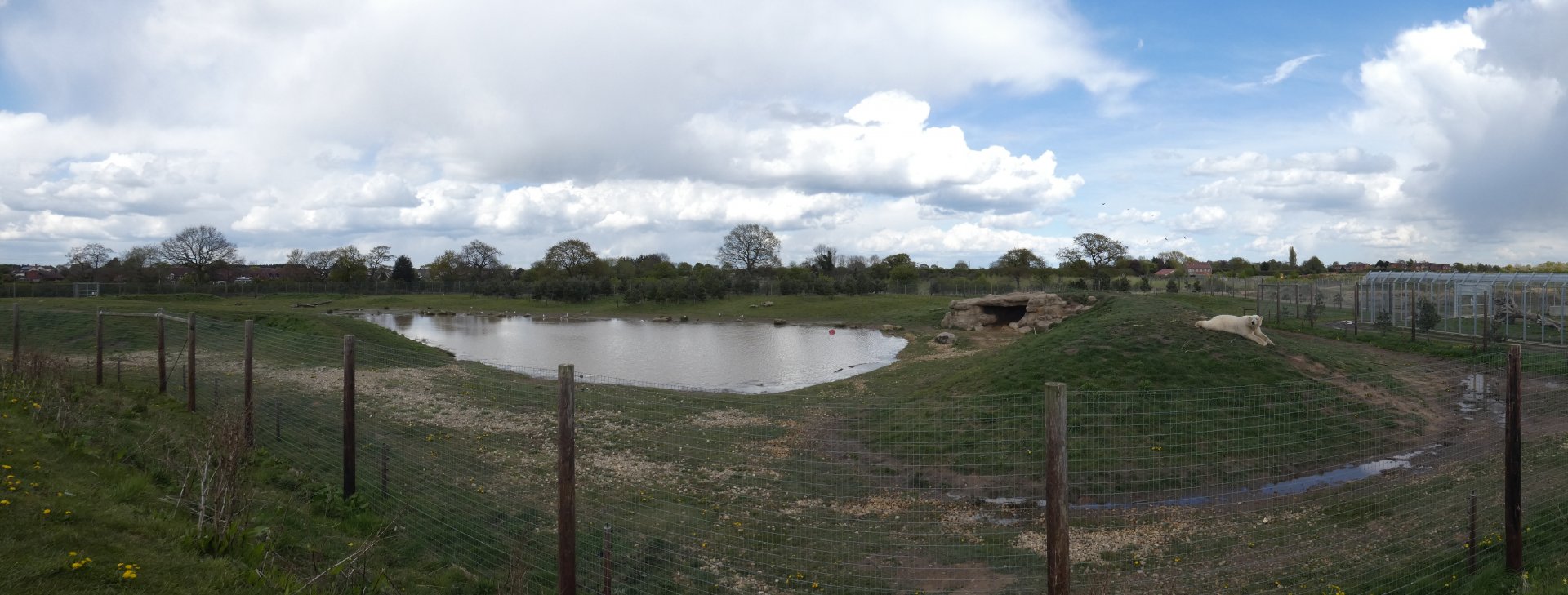Polar bear enclosure