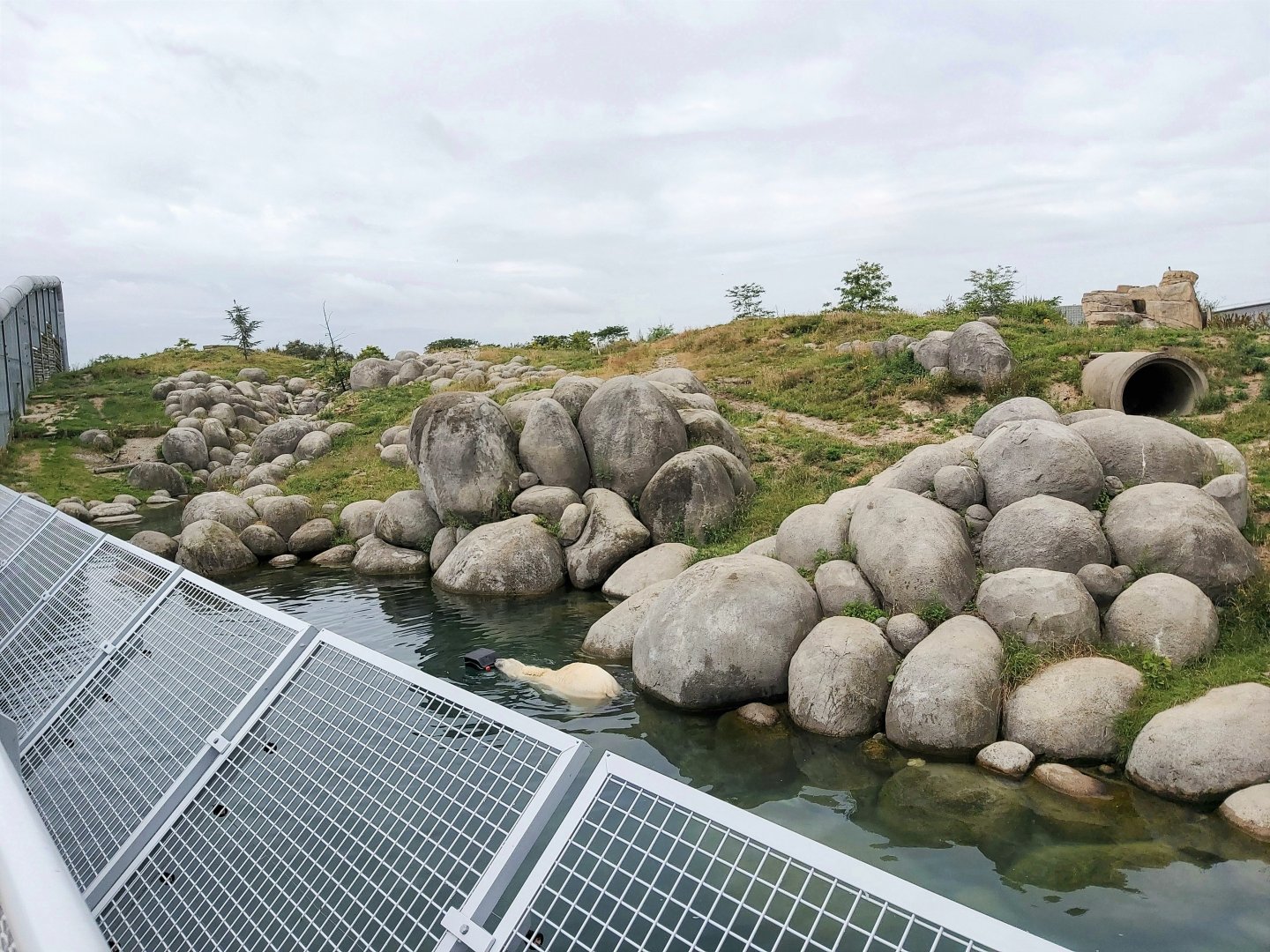 Polar bear enclosure