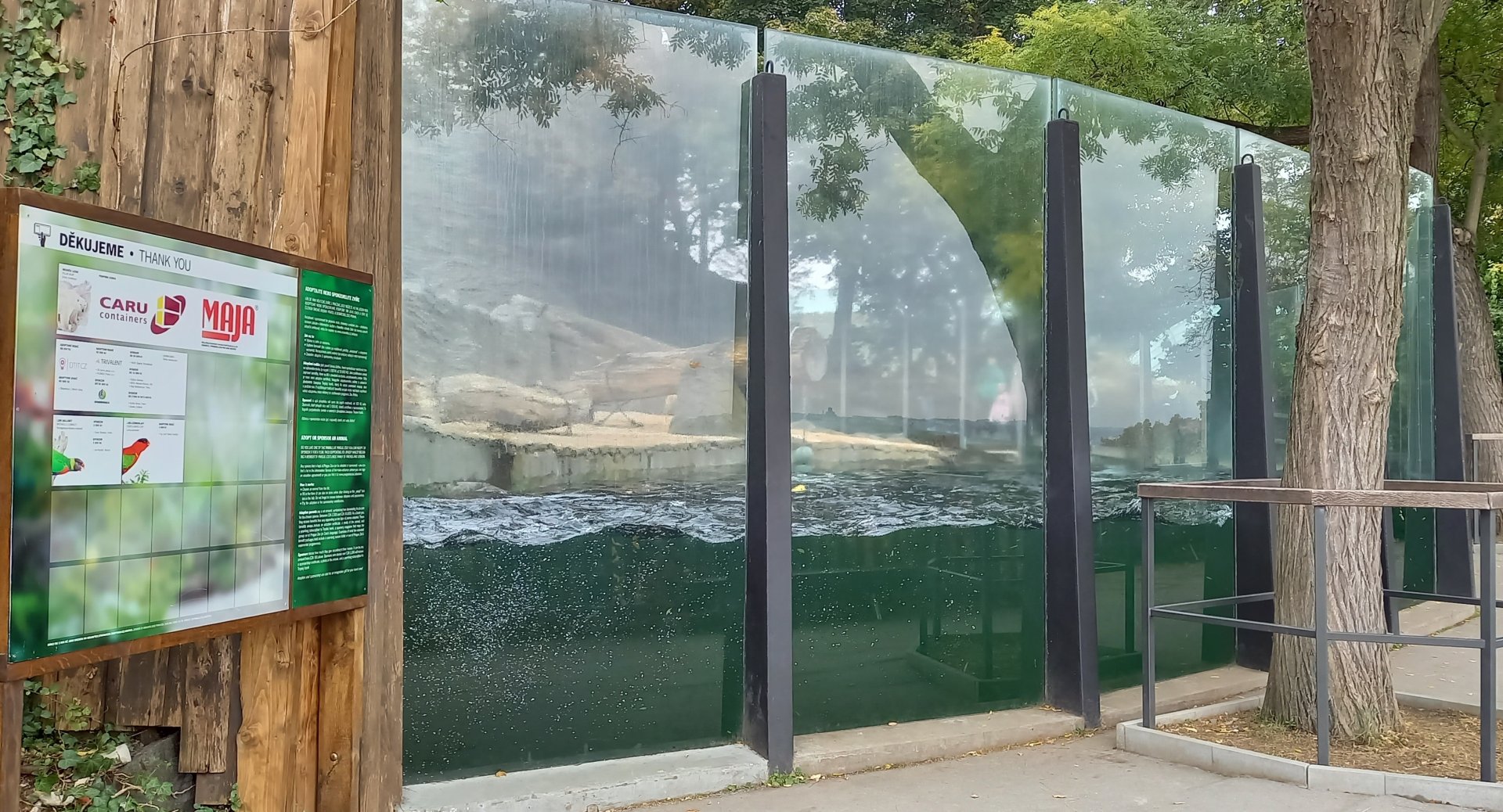 Polar bear enclosure