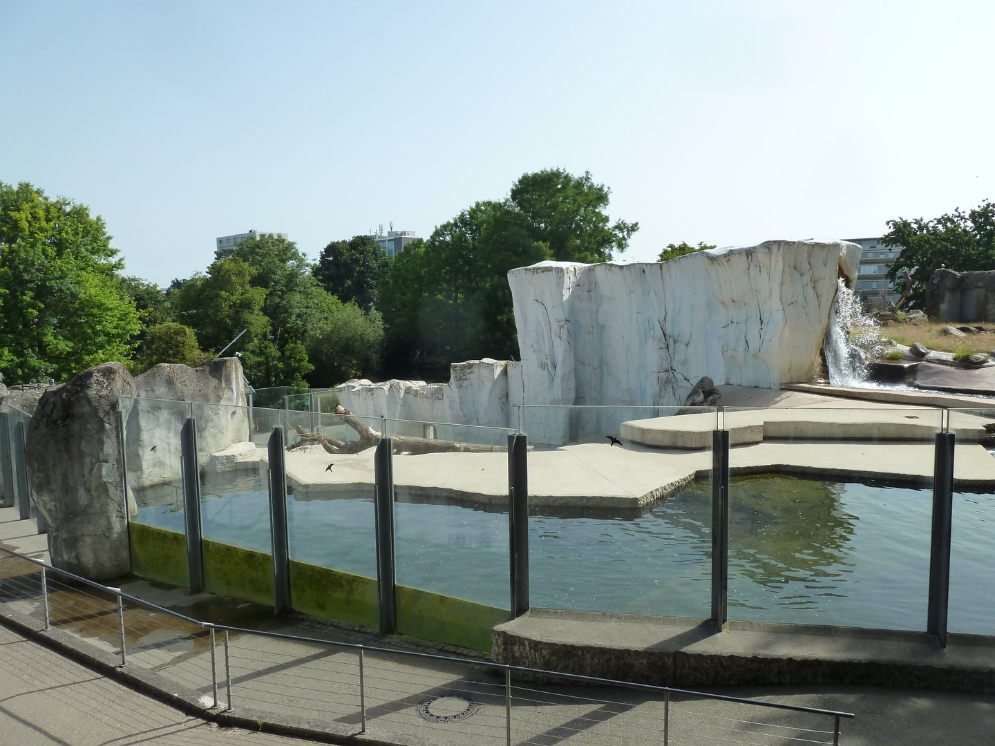 Polar bear enclosure
