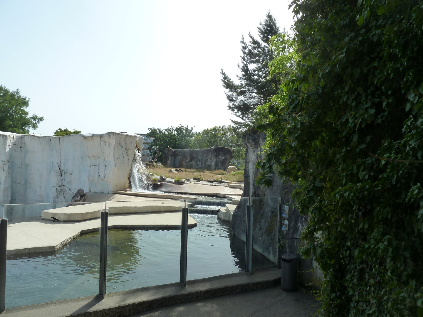 Polar bear enclosure