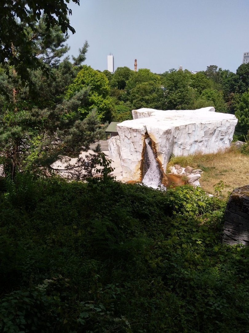 Polar bear enclosure