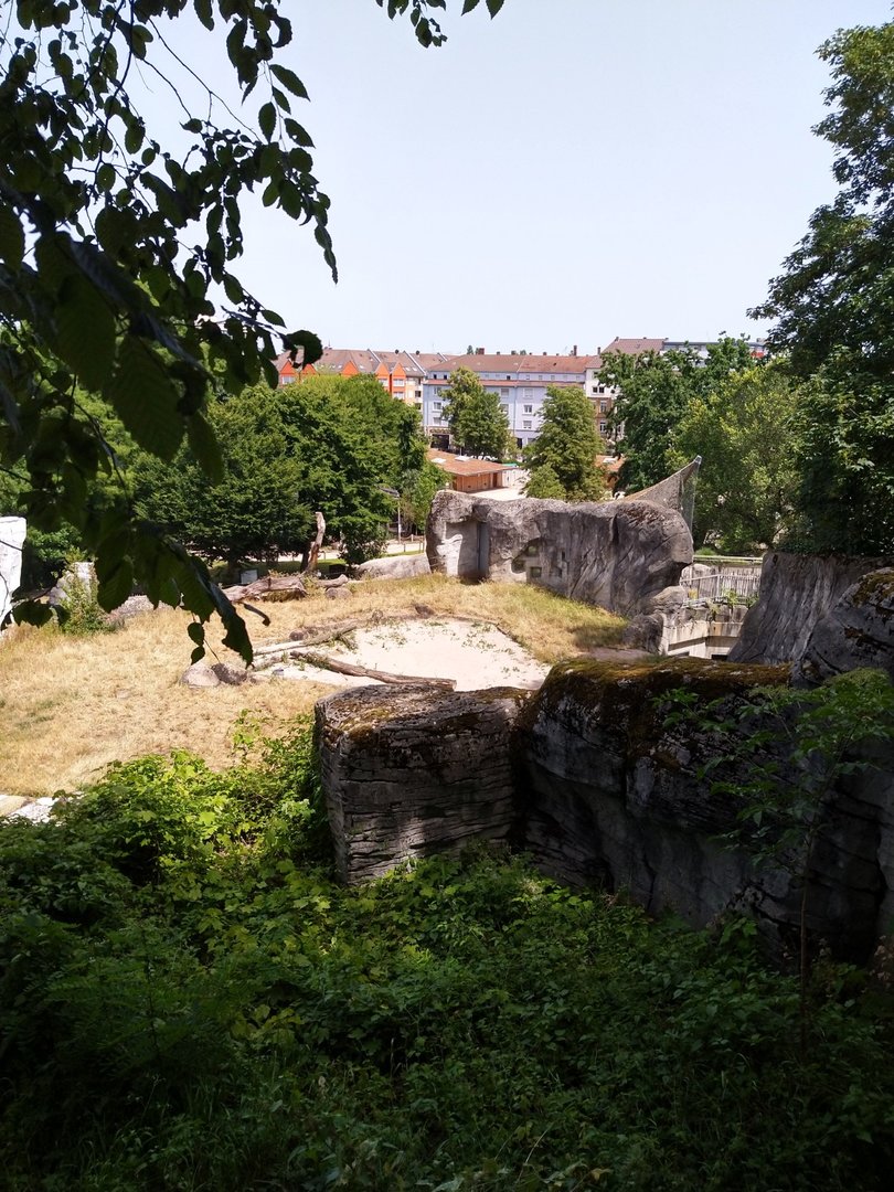 Polar bear enclosure