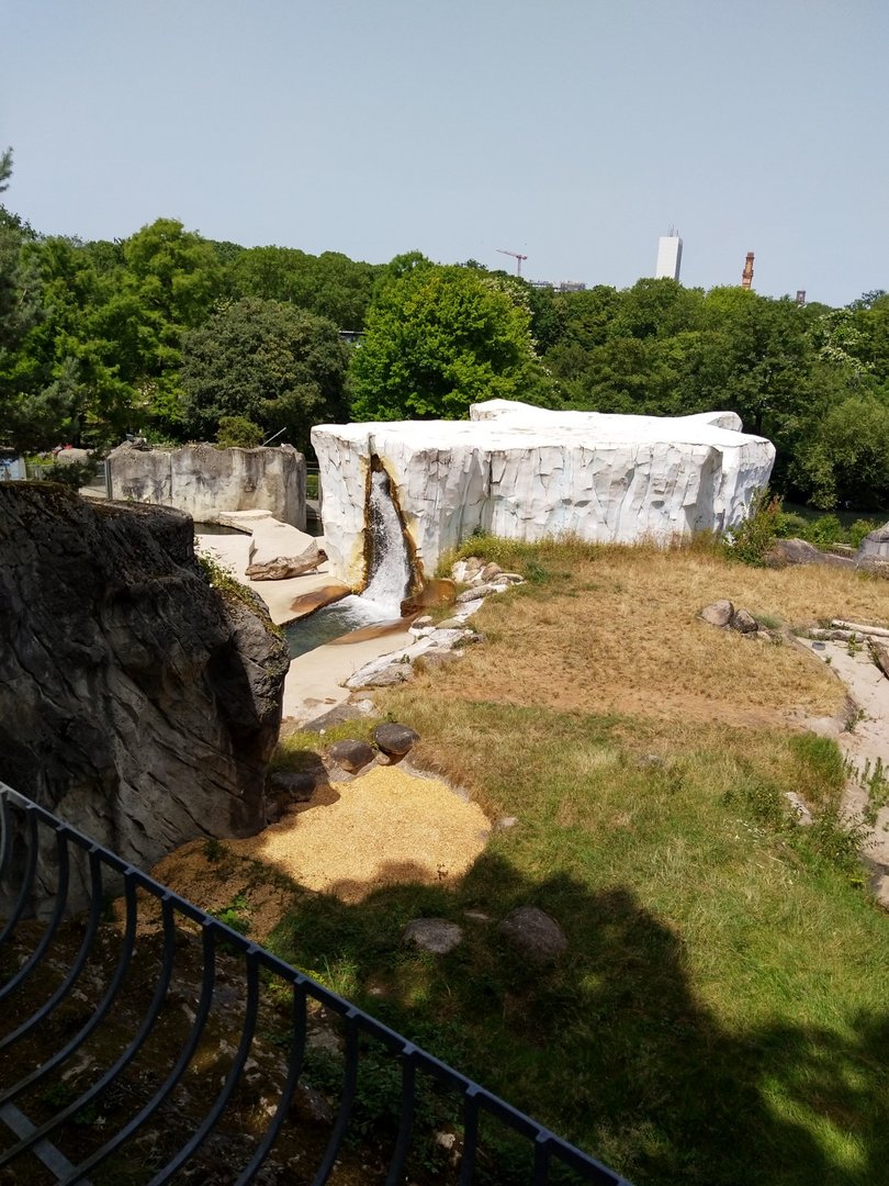 Polar bear enclosure