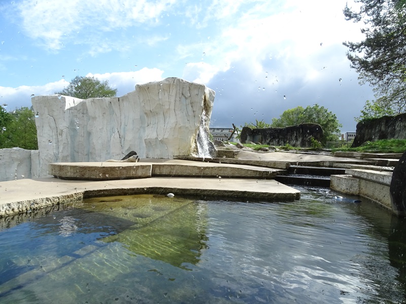 Polar bear enclosure