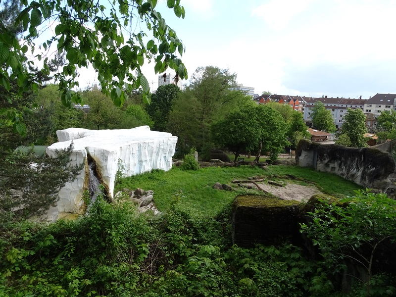 Polar bear enclosure
