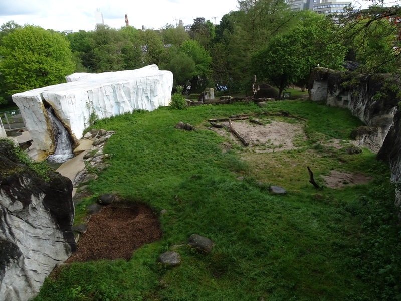 Polar bear enclosure
