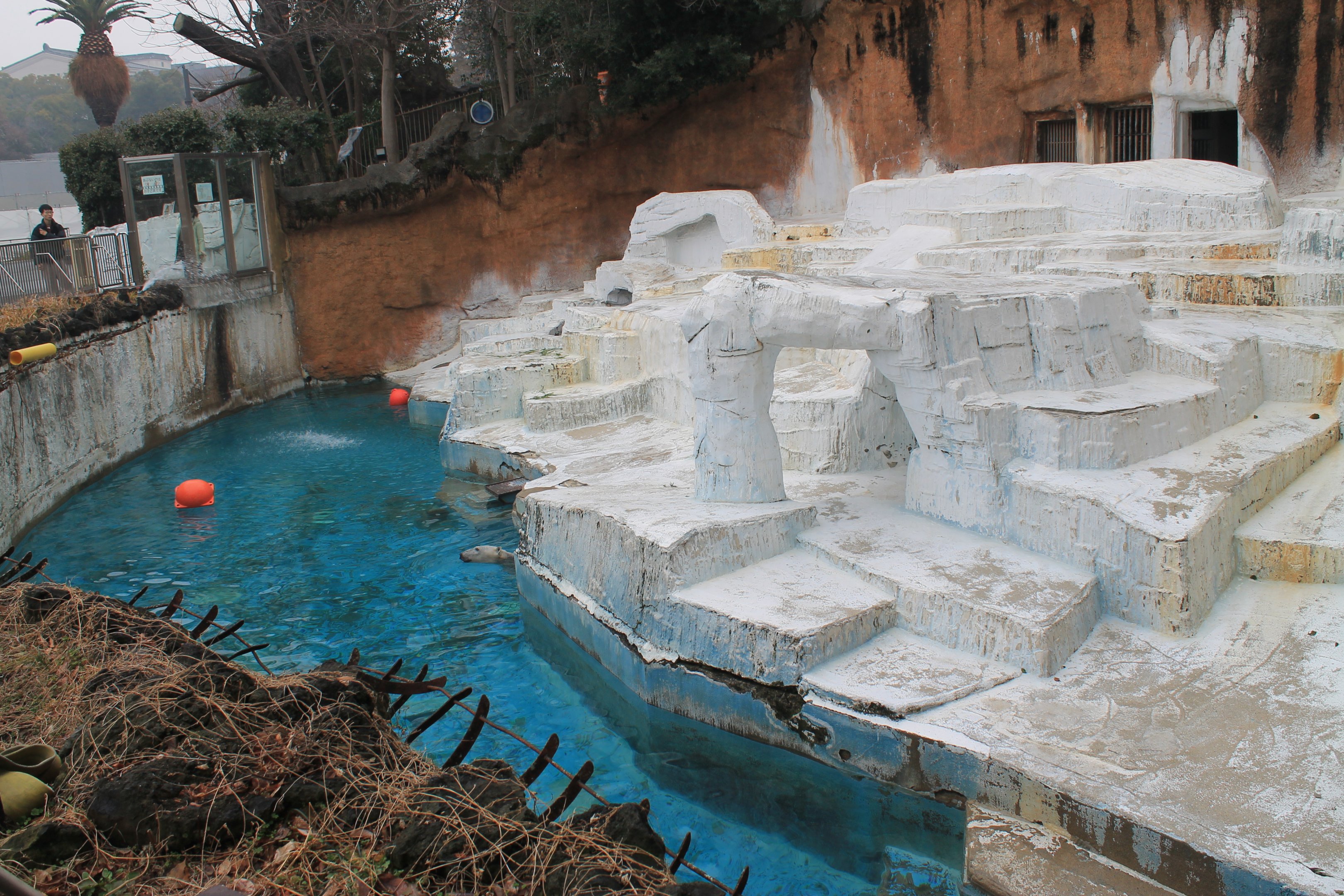 Polar Bear enclosure
