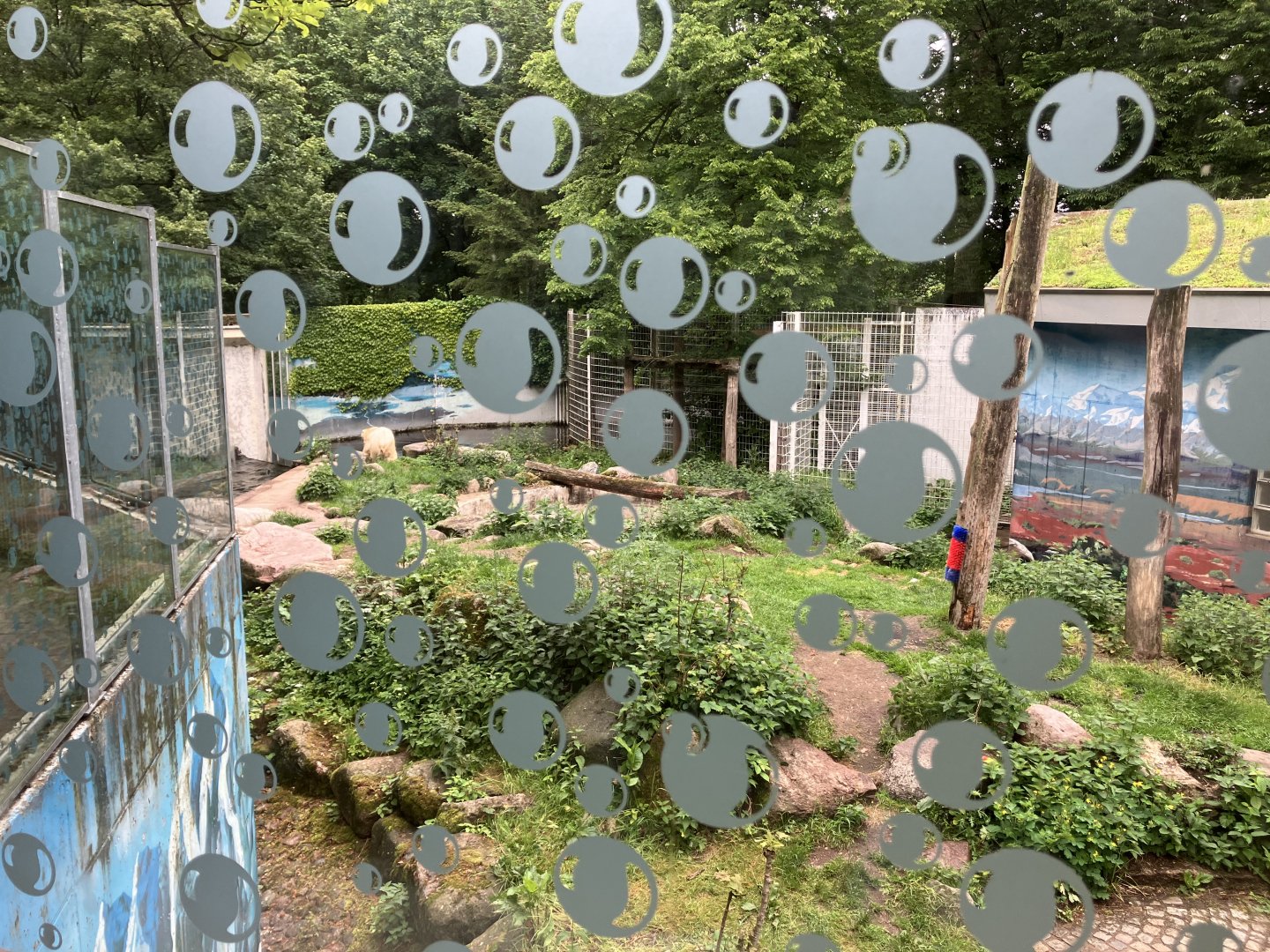 Polar bear enclosure