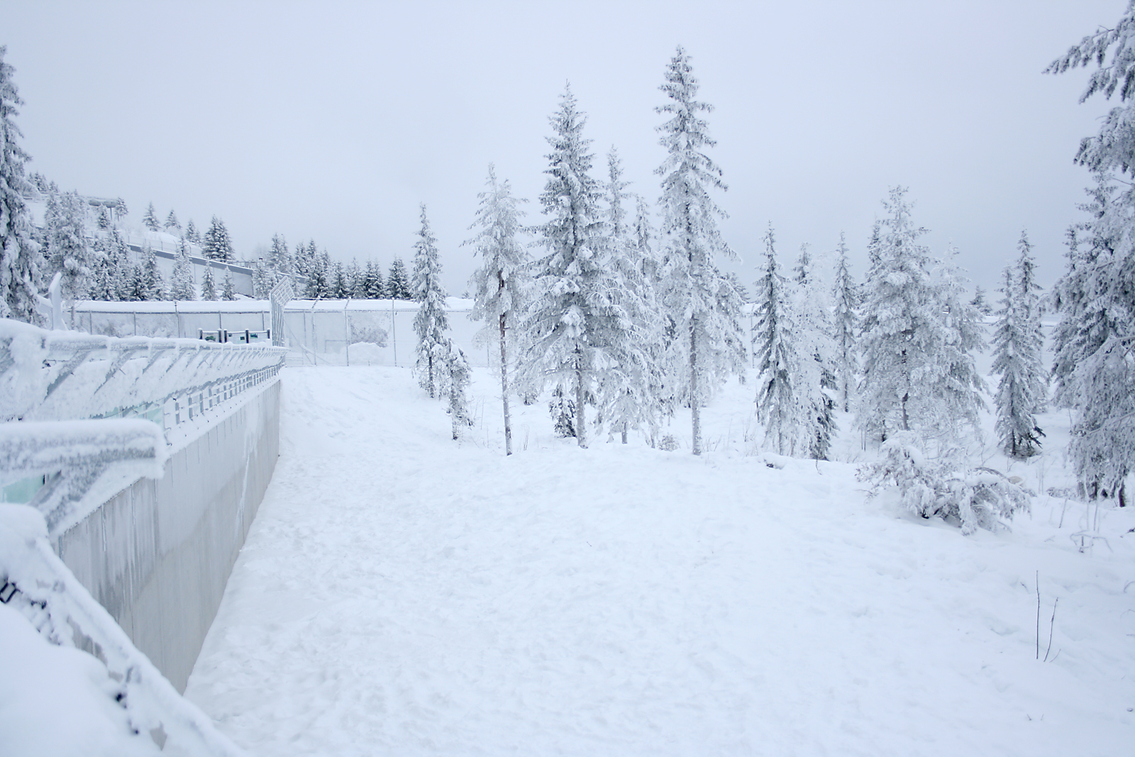 Polar bear enclosure