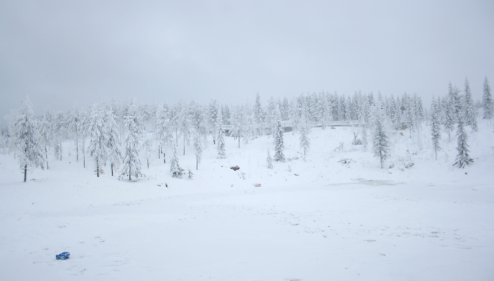 Polar bear enclosure