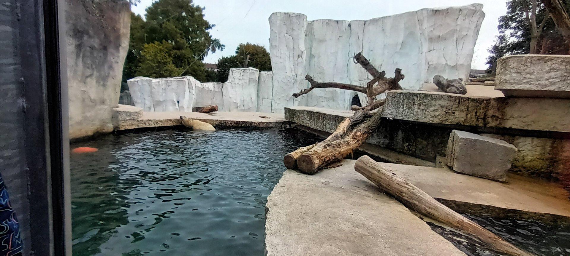 Polar Bear Enclosure
