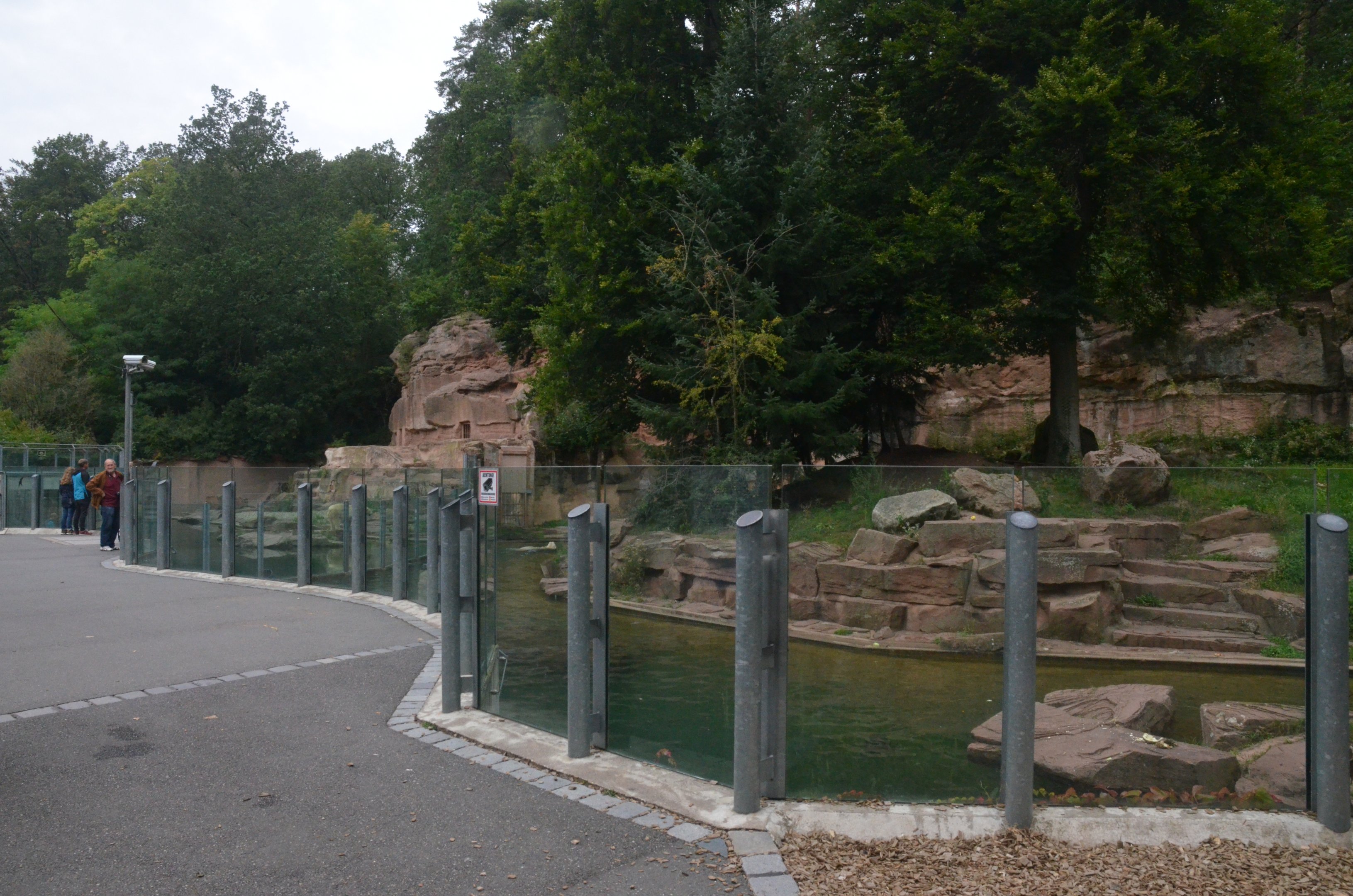 Polar Bear Enclosures at Nuremberg, 08/09/19