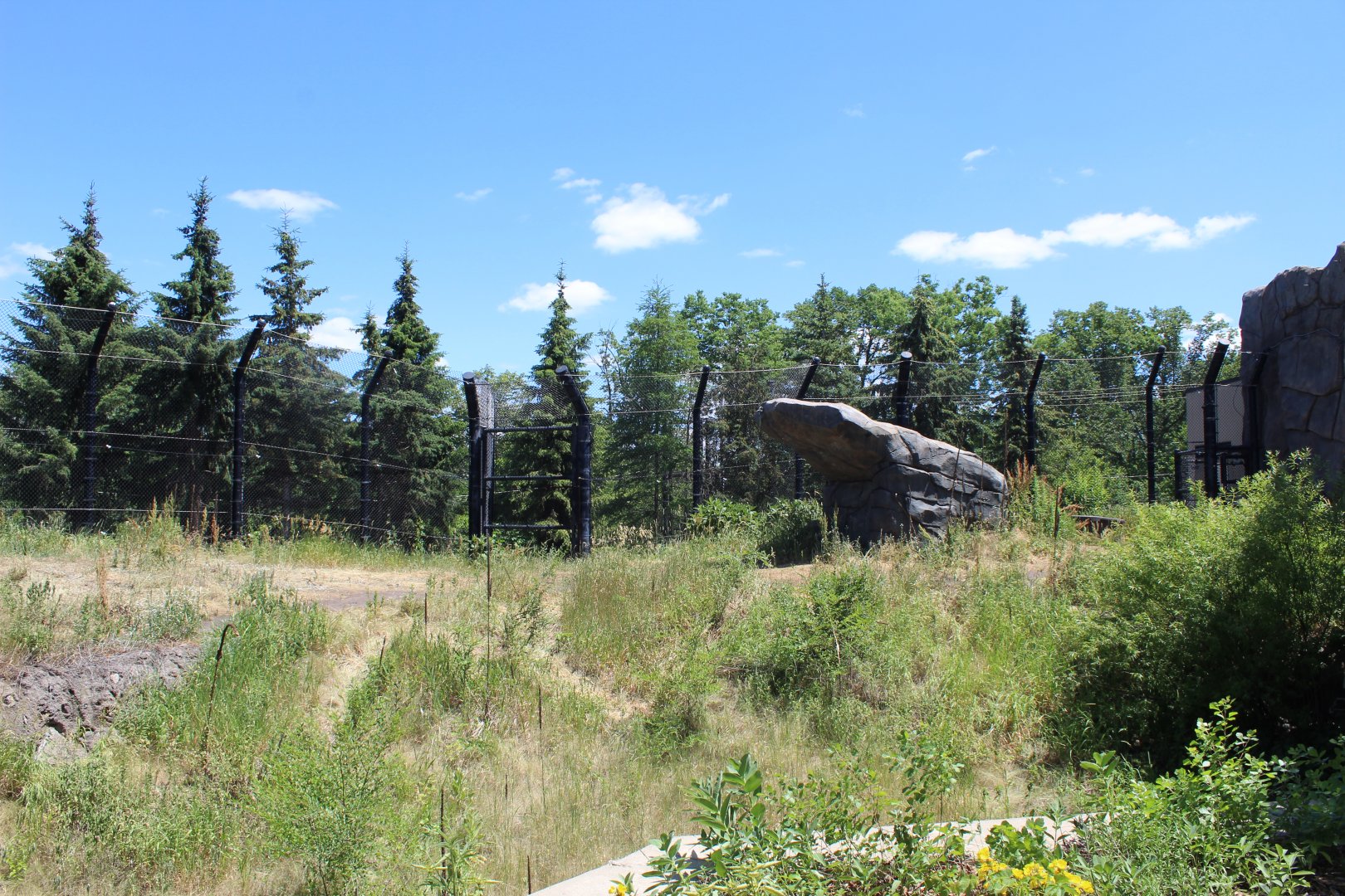 Polar Bear Exhibit #1 - Polar Bear Odyssey