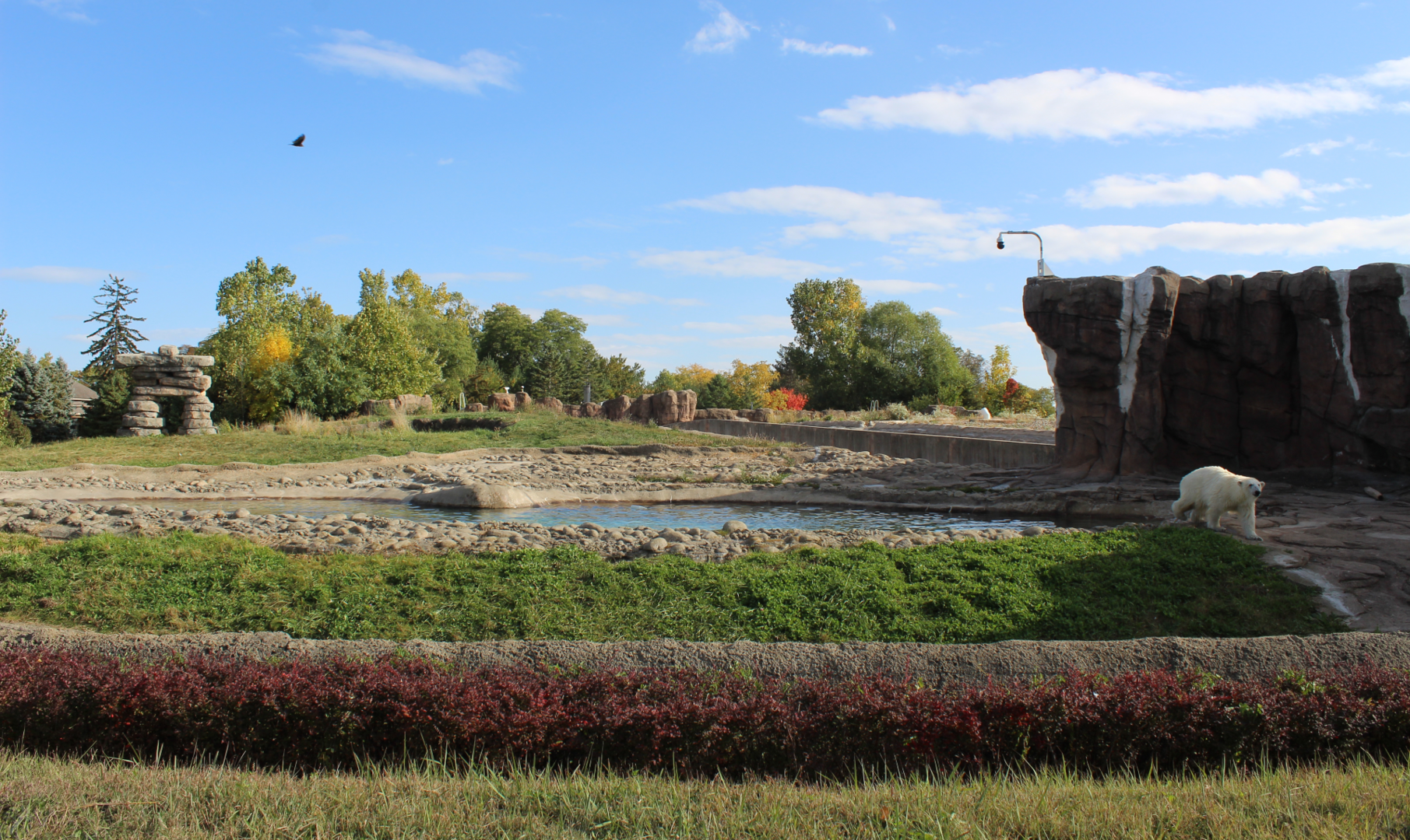 Polar Bear Exhibit #1 (Tundra Habitat) - Arctic Ring of Life