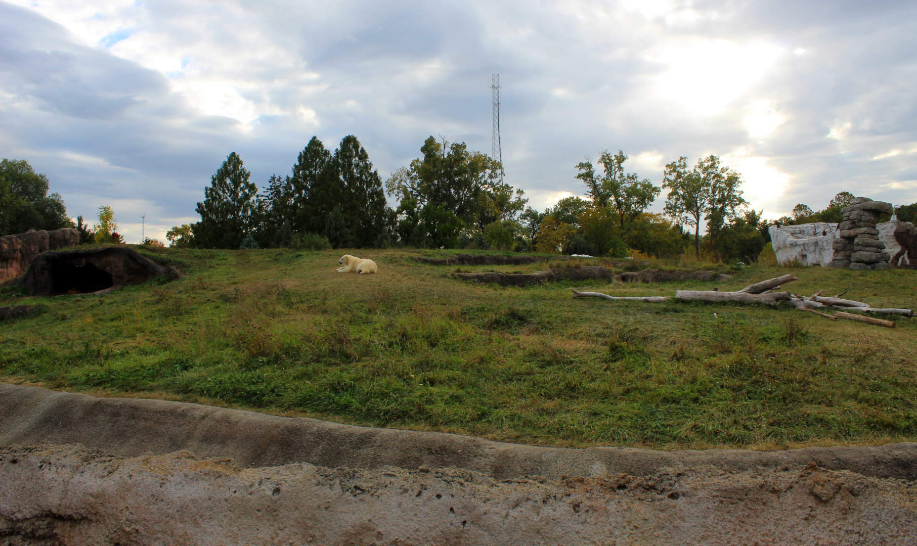 Polar Bear Exhibit #1 (Tundra Habitat) - Arctic Ring of Life