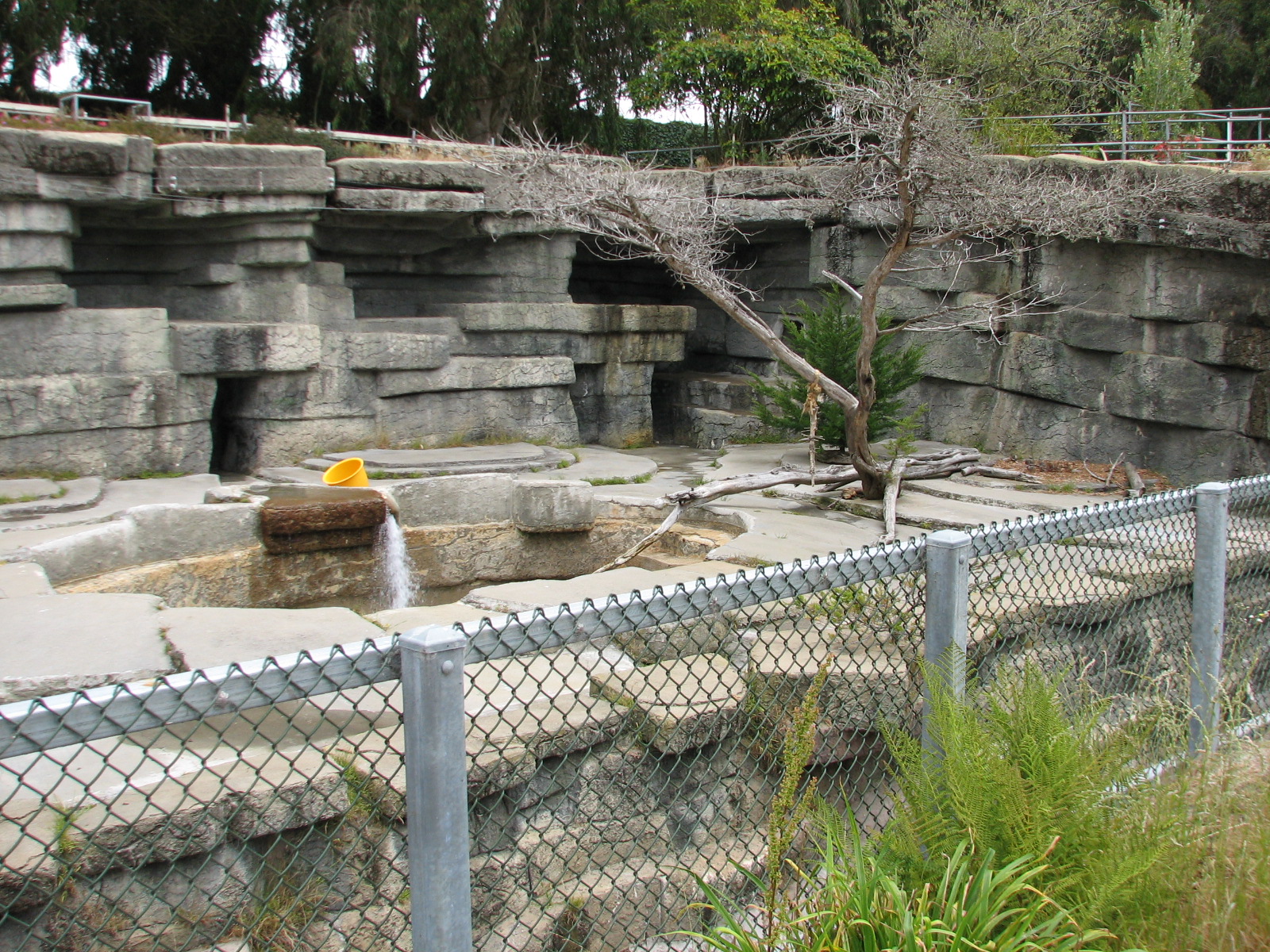 Polar Bear Exhibit 1