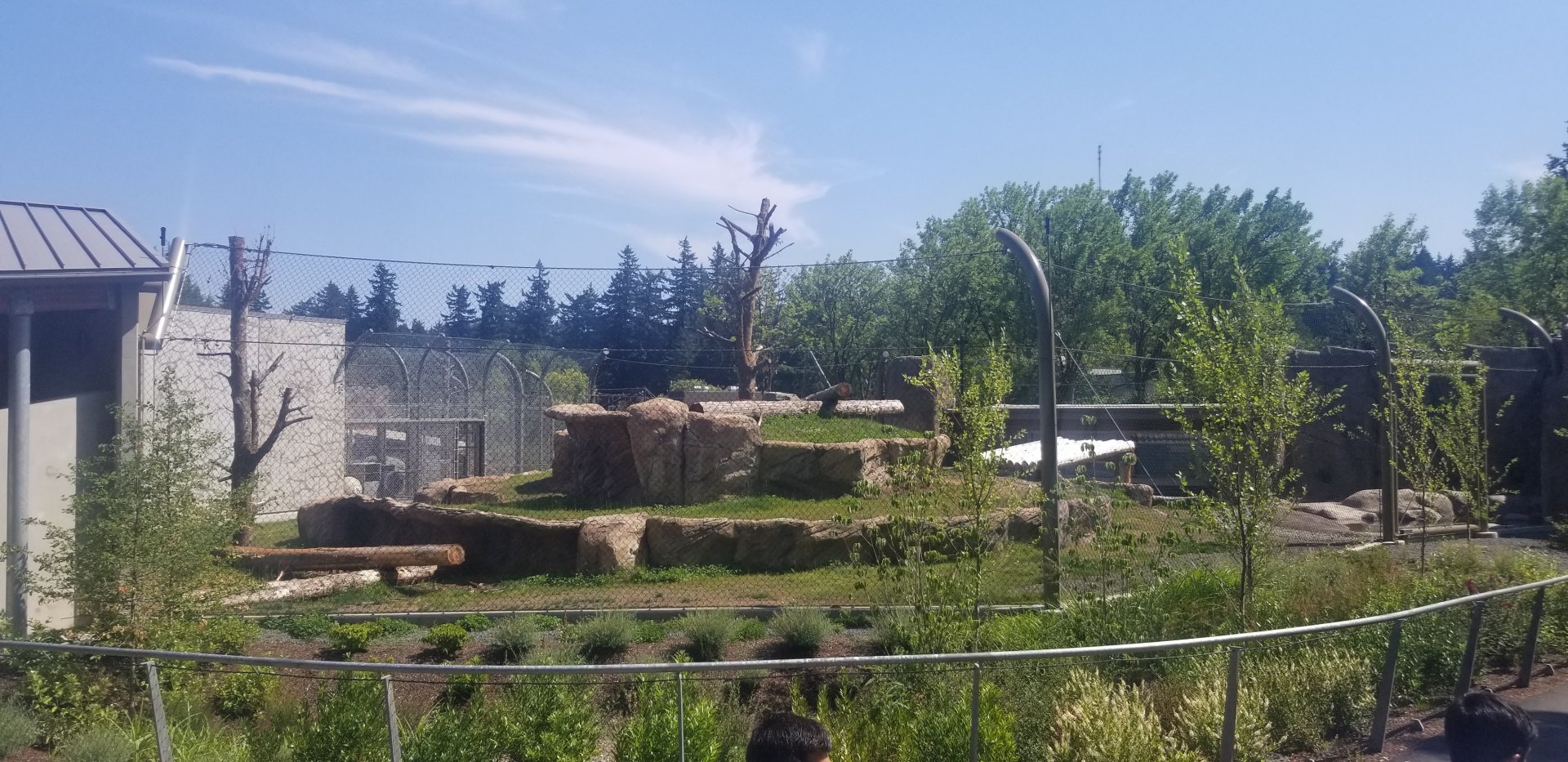 Polar Bear Exhibit #1