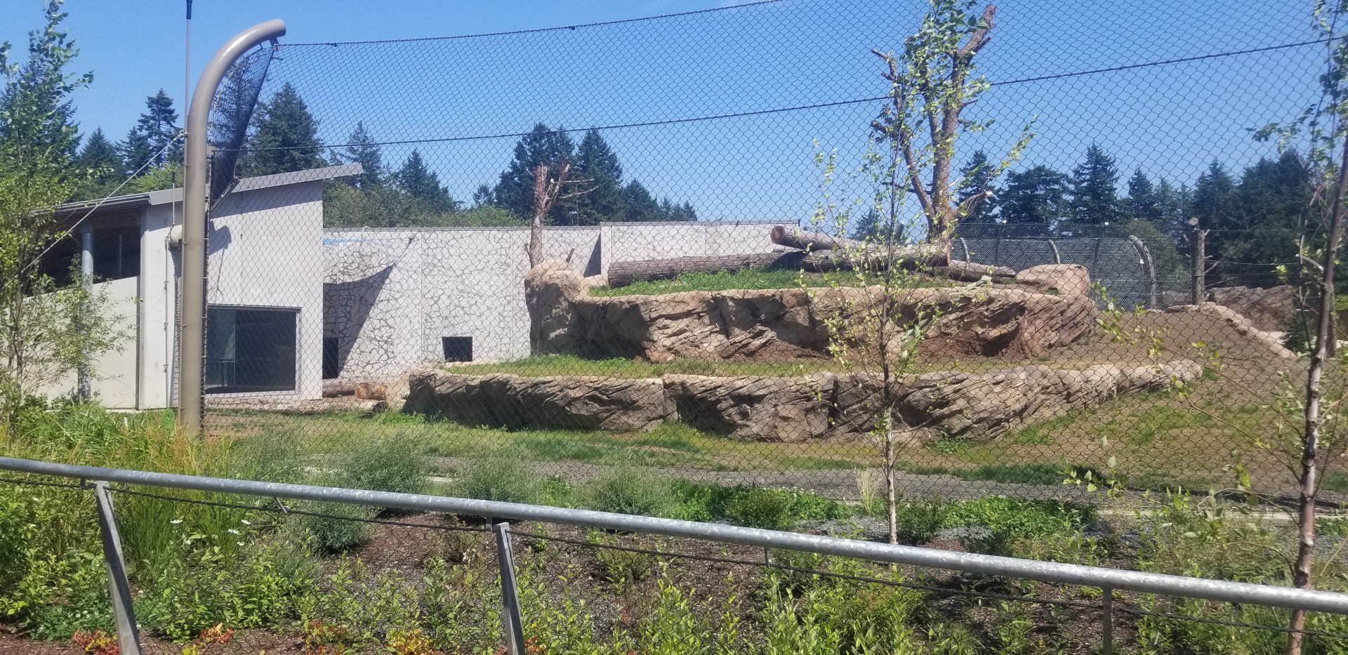 Polar Bear Exhibit #1