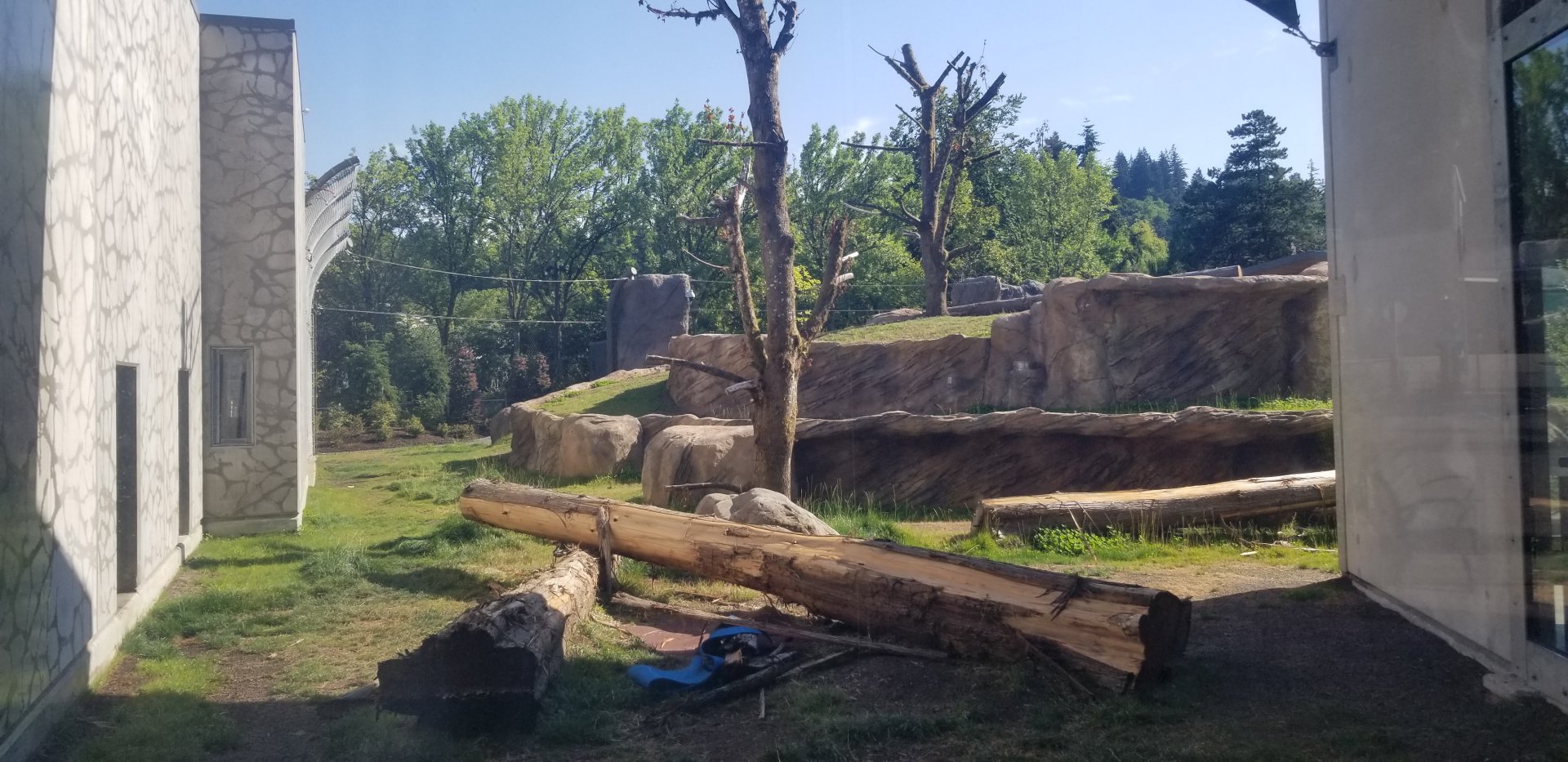 Polar Bear Exhibit #1