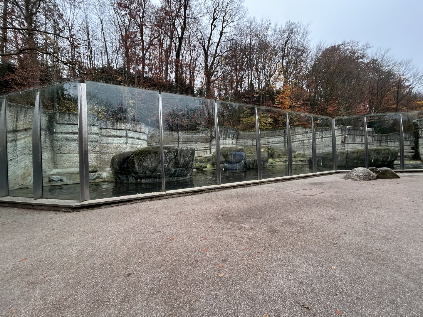 Polar Bear Exhibit #1