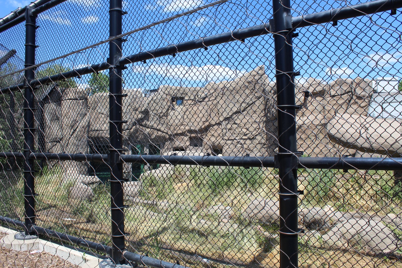 Polar Bear Exhibit #2 - Polar Bear Odyssey