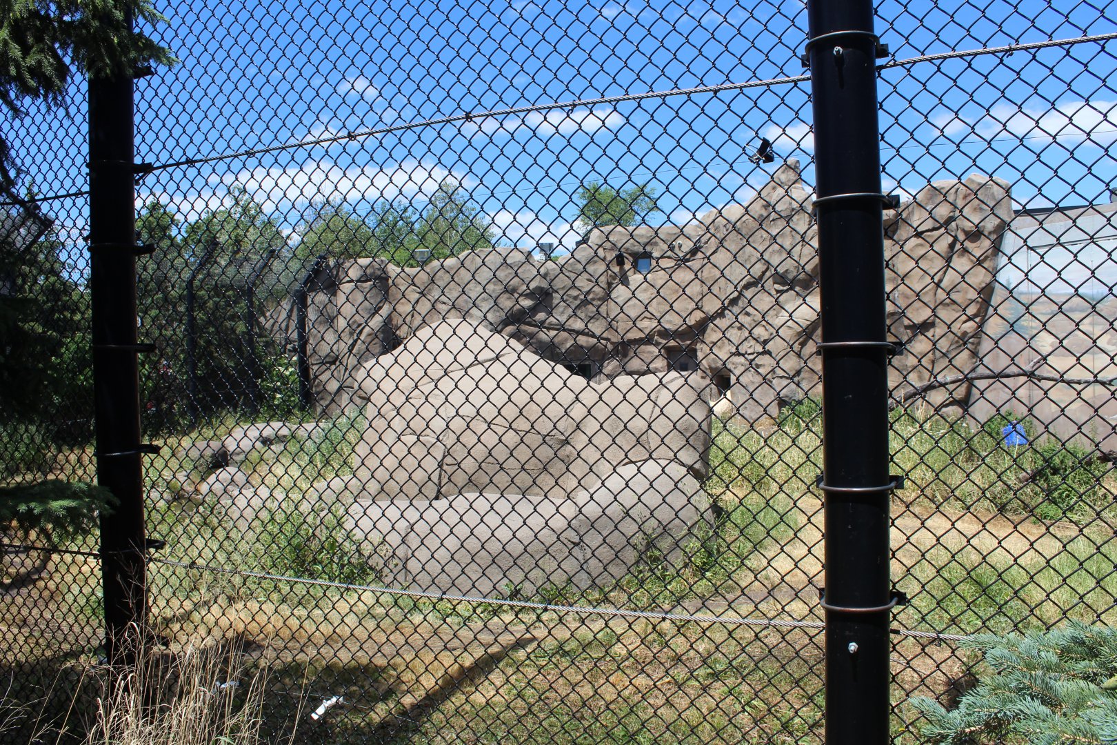 Polar Bear Exhibit #2 - Polar Bear Odyssey