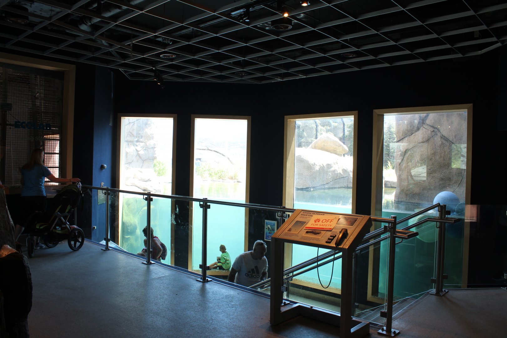 Polar Bear Exhibit #2 Underwater Viewing - Polar Bear Odyssey