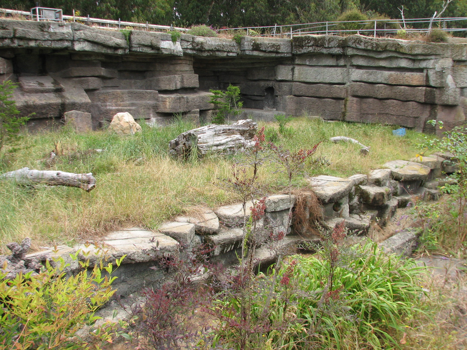 Polar Bear Exhibit 2