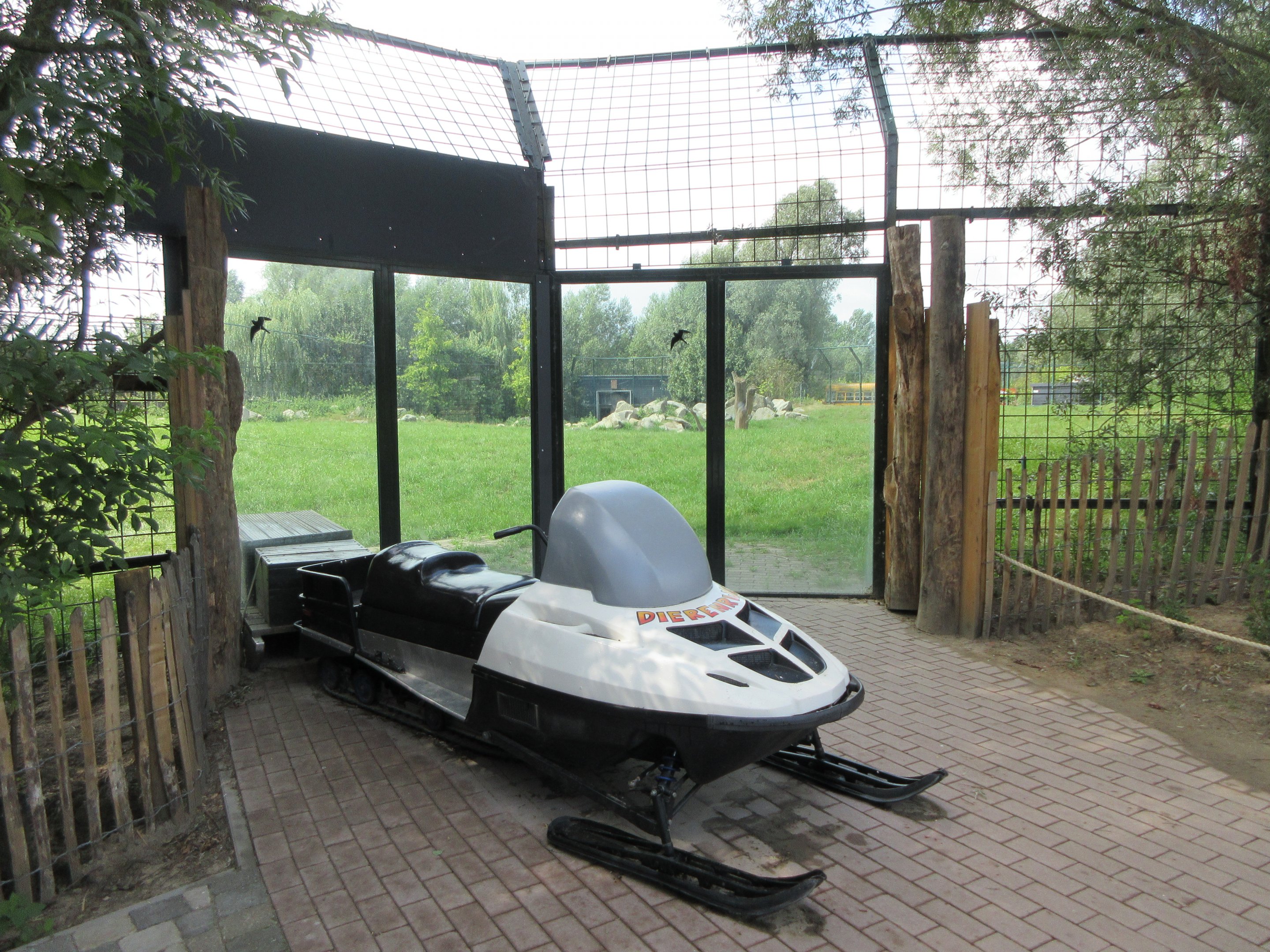 Polar Bear Exhibit #2