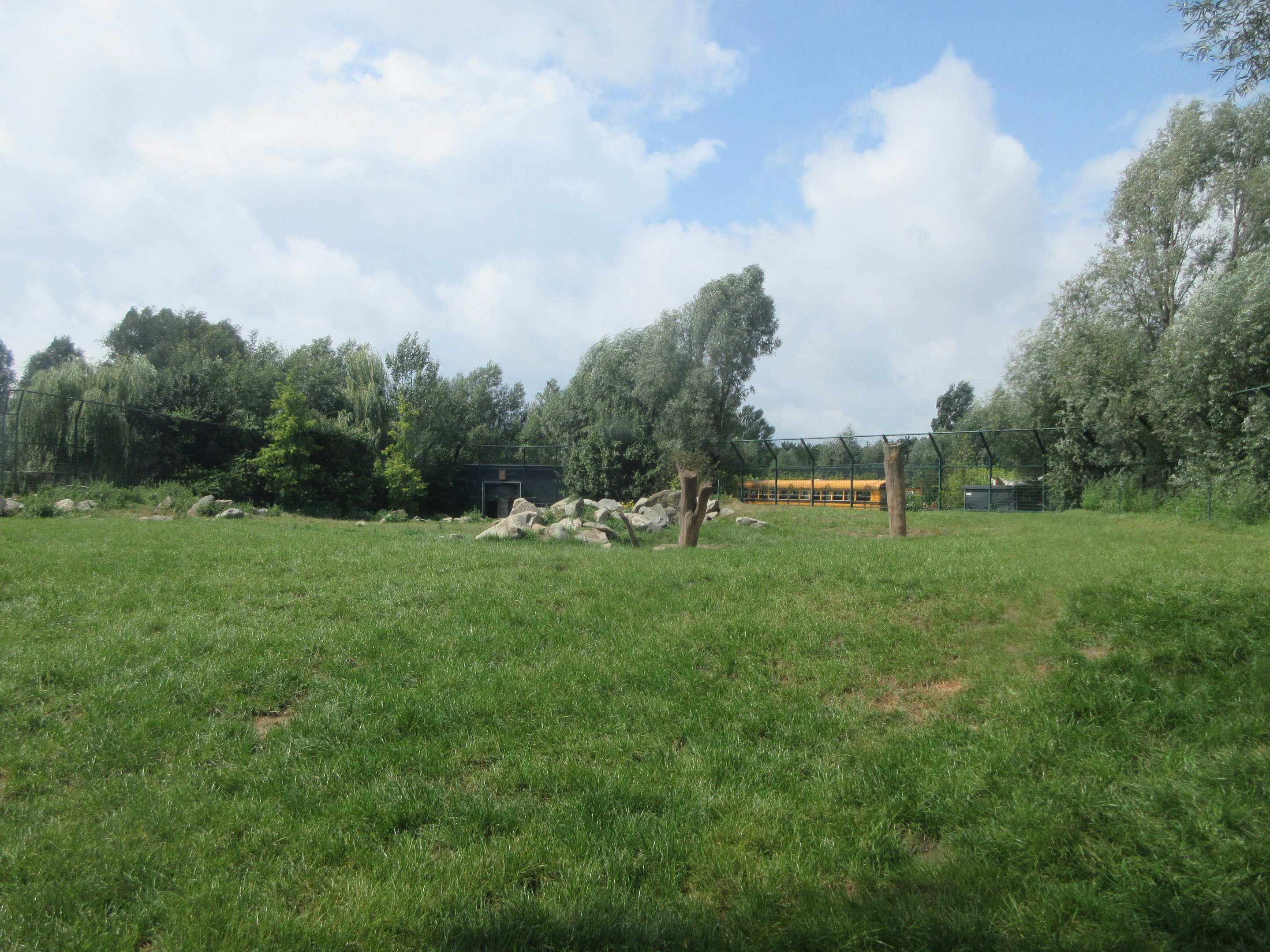 Polar Bear Exhibit #2