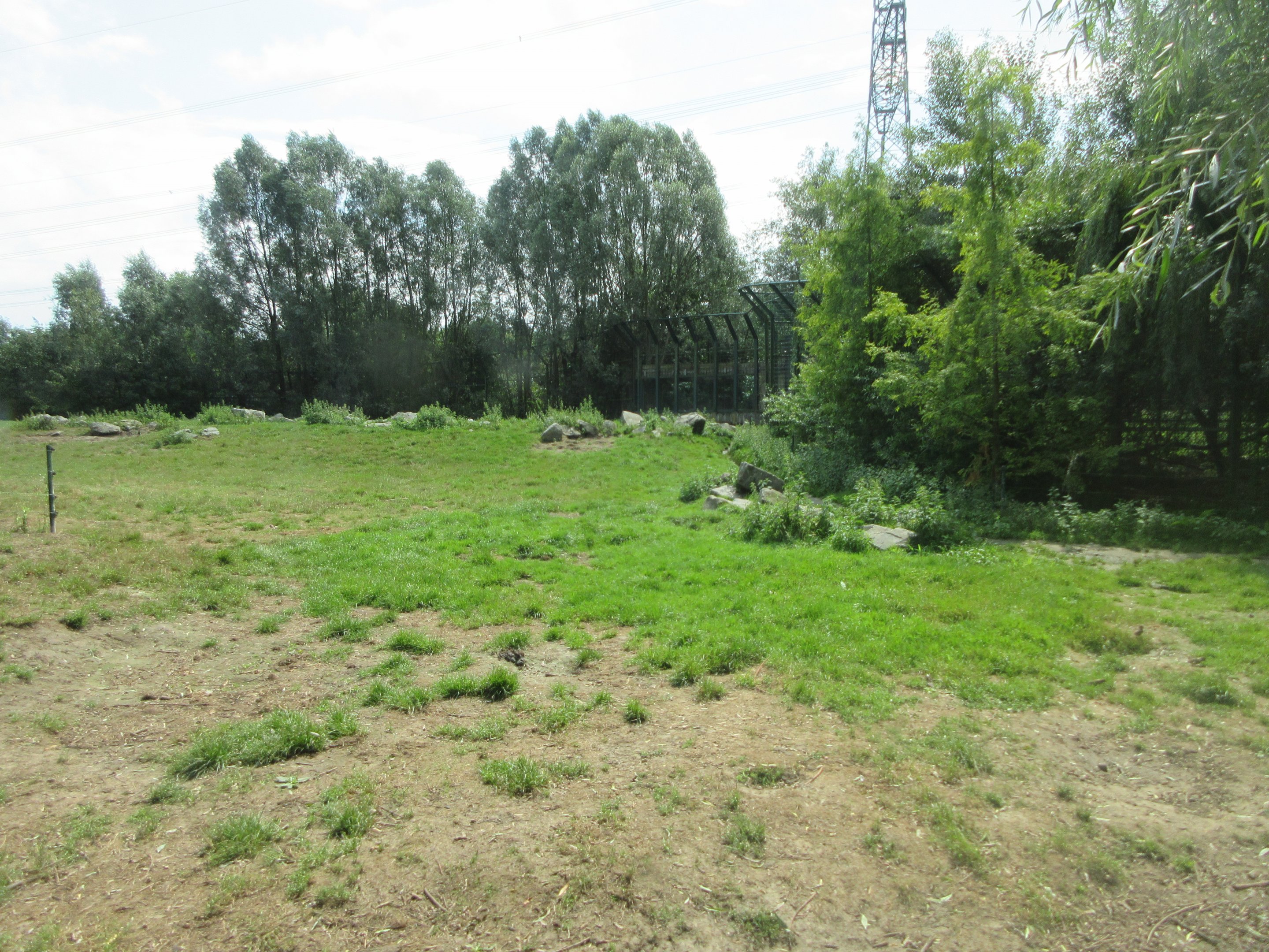 Polar Bear Exhibit #2
