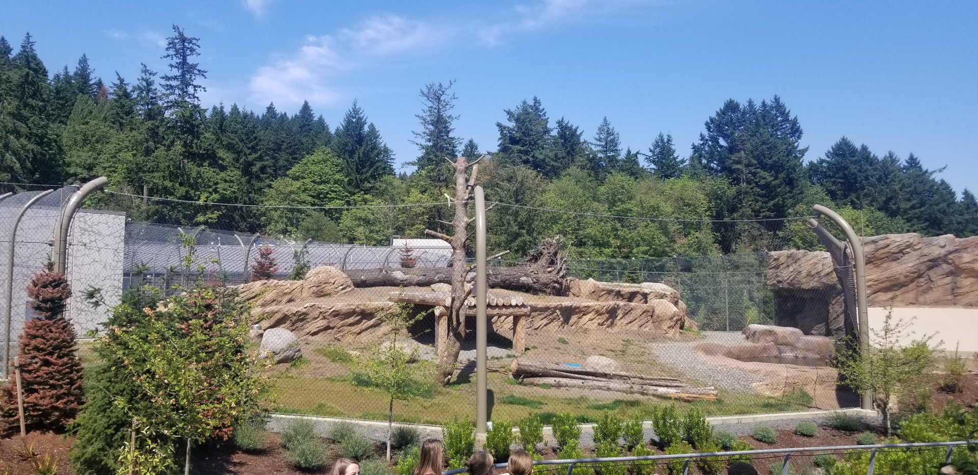 Polar Bear Exhibit #2