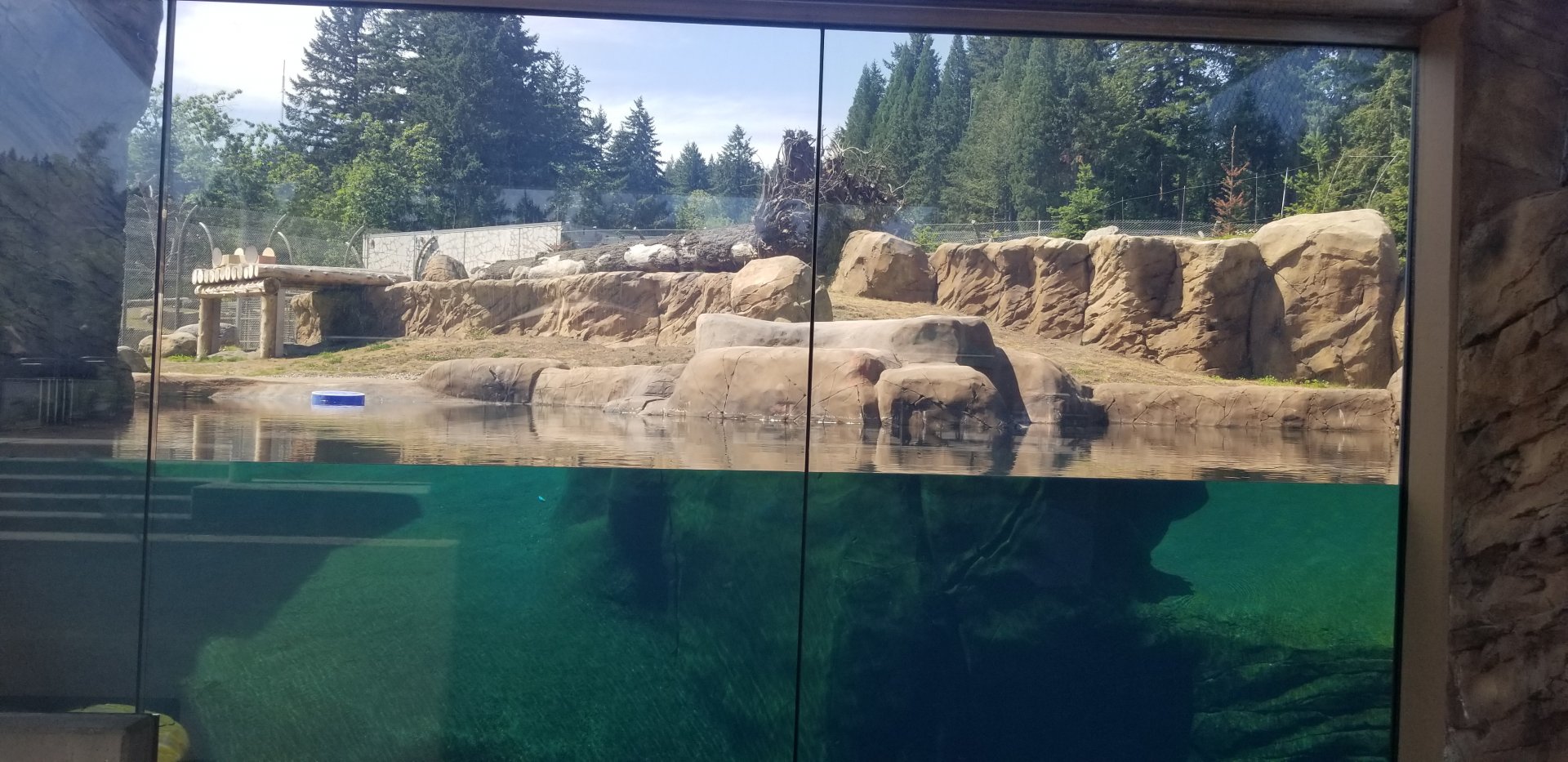 Polar Bear Exhibit #2