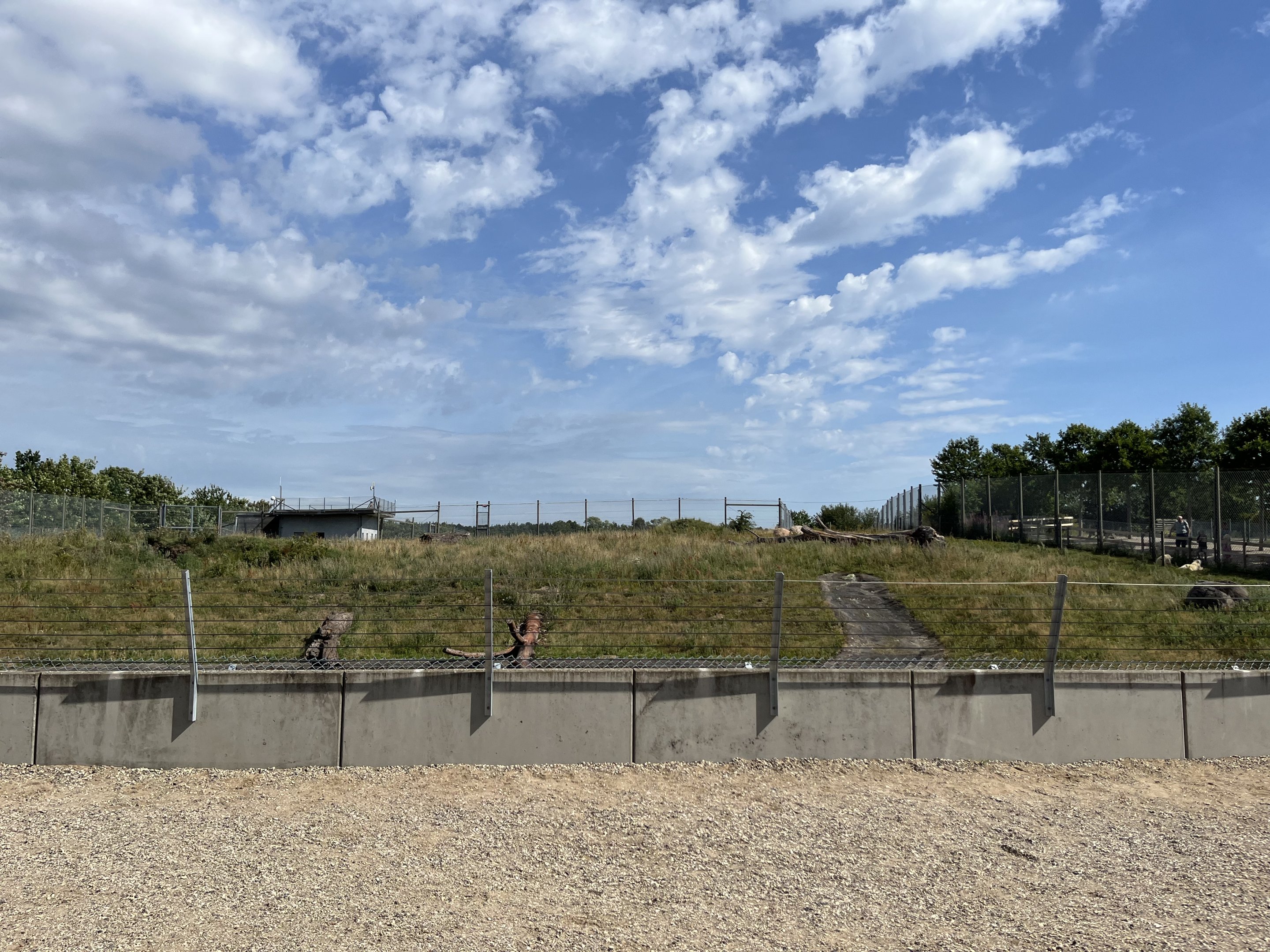 Polar Bear Exhibit #2