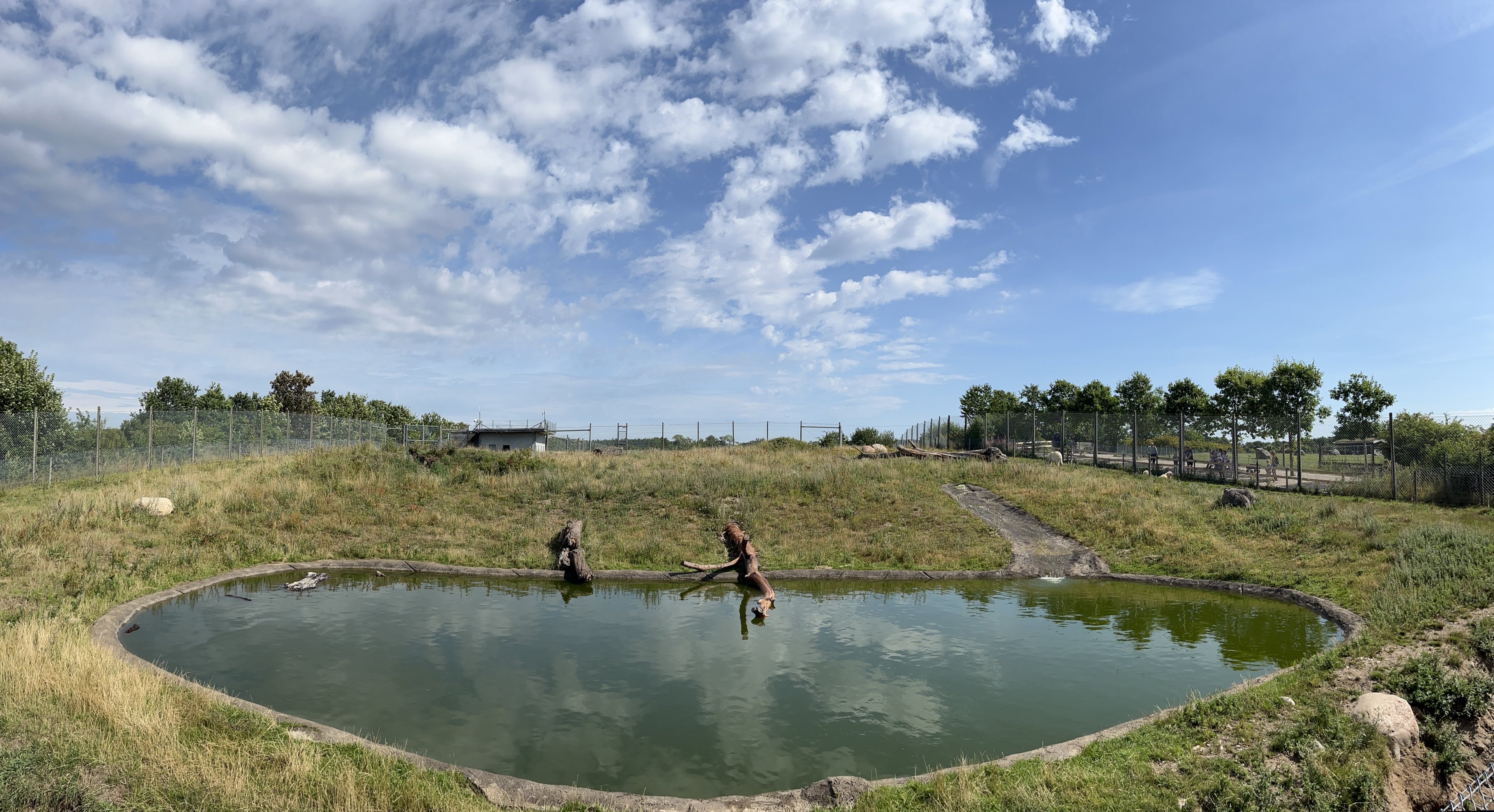 Polar Bear Exhibit #2