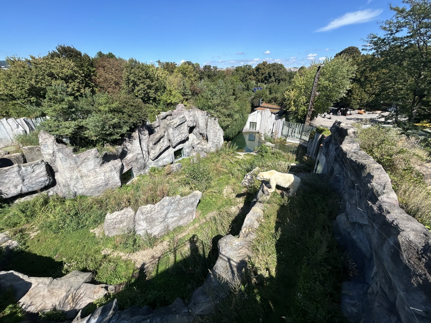 Polar Bear Exhibit #2