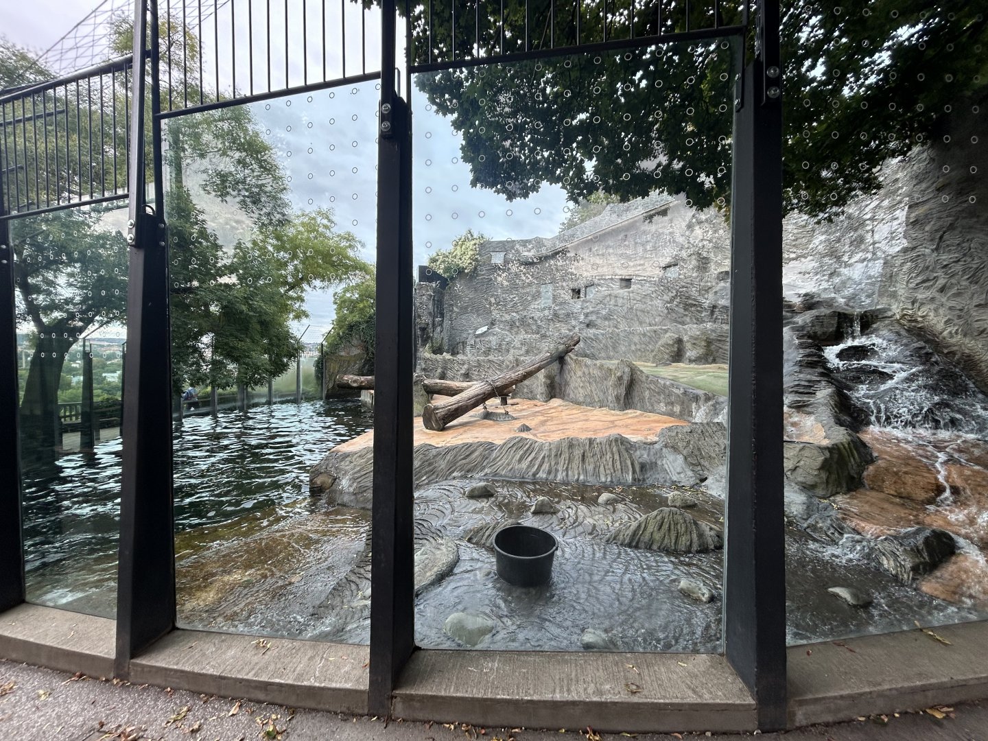 Polar Bear Exhibit #2