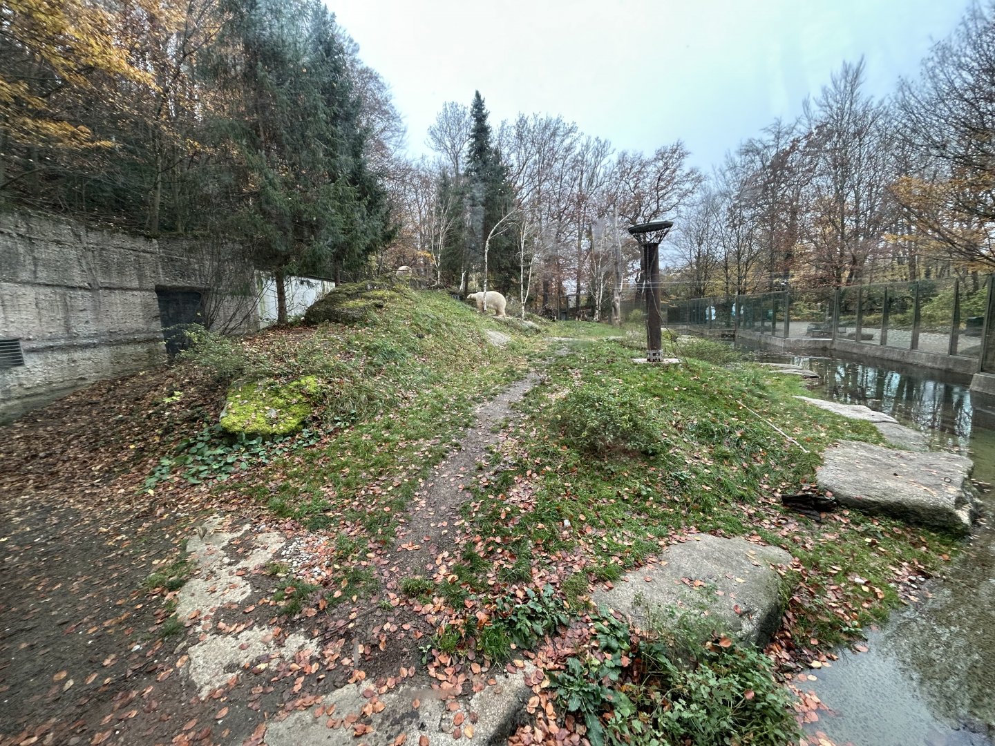 Polar Bear Exhibit #2
