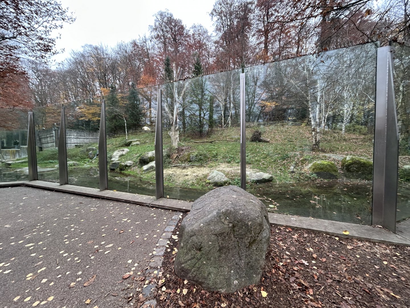 Polar Bear Exhibit #2