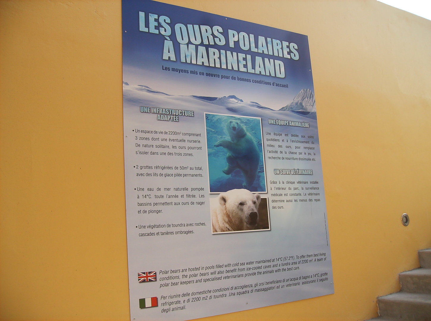 Polar bear exhibit - 2010