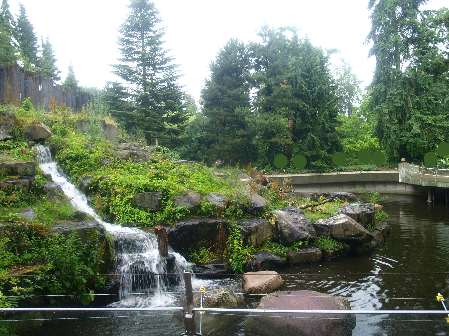 Polar bear exhibit, 2015-07-19