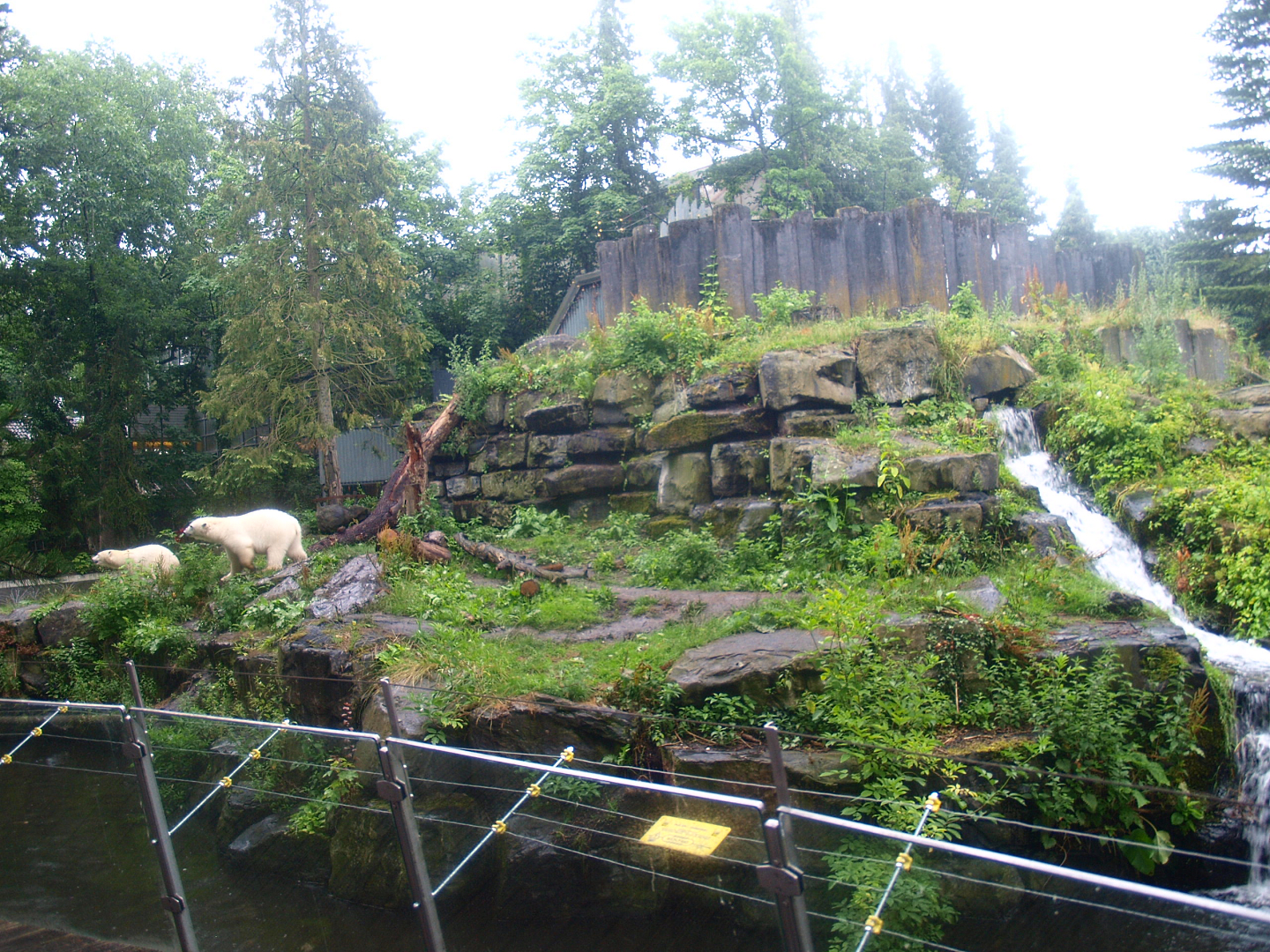 Polar bear exhibit, 2015-07-19