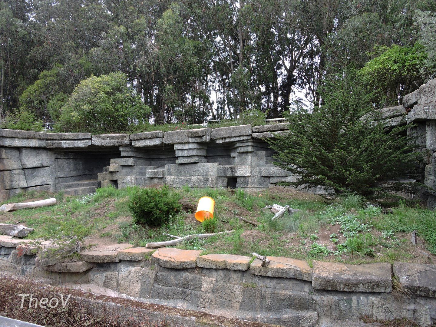 Polar bear exhibit [2015]