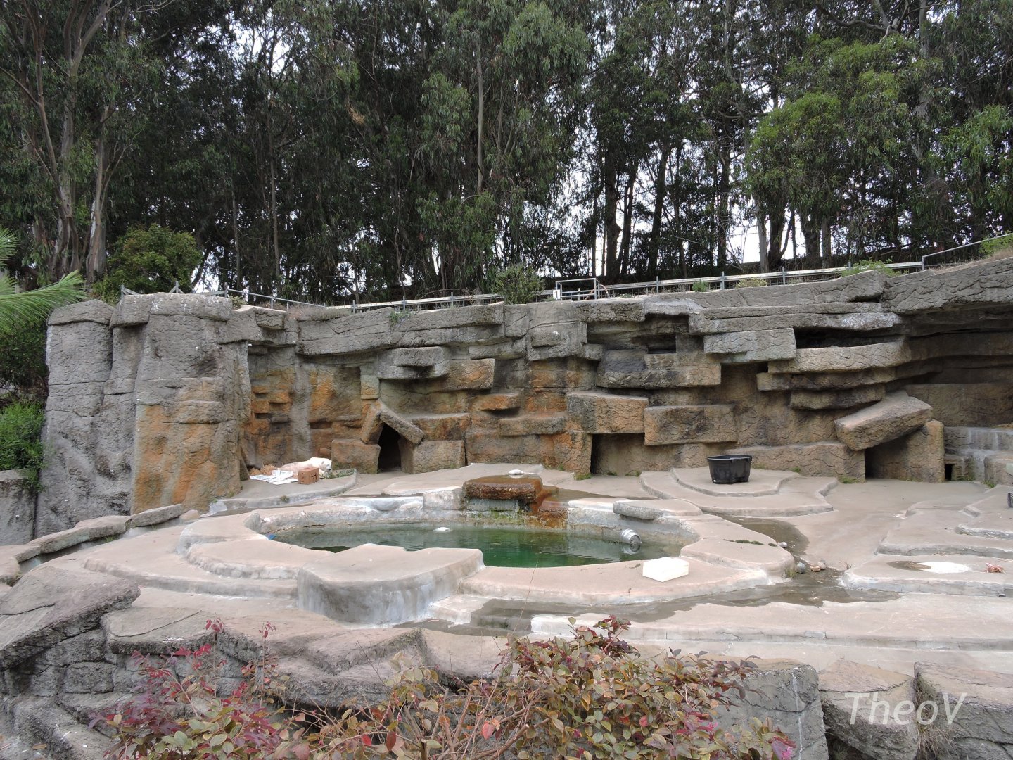 Polar bear exhibit [2015]