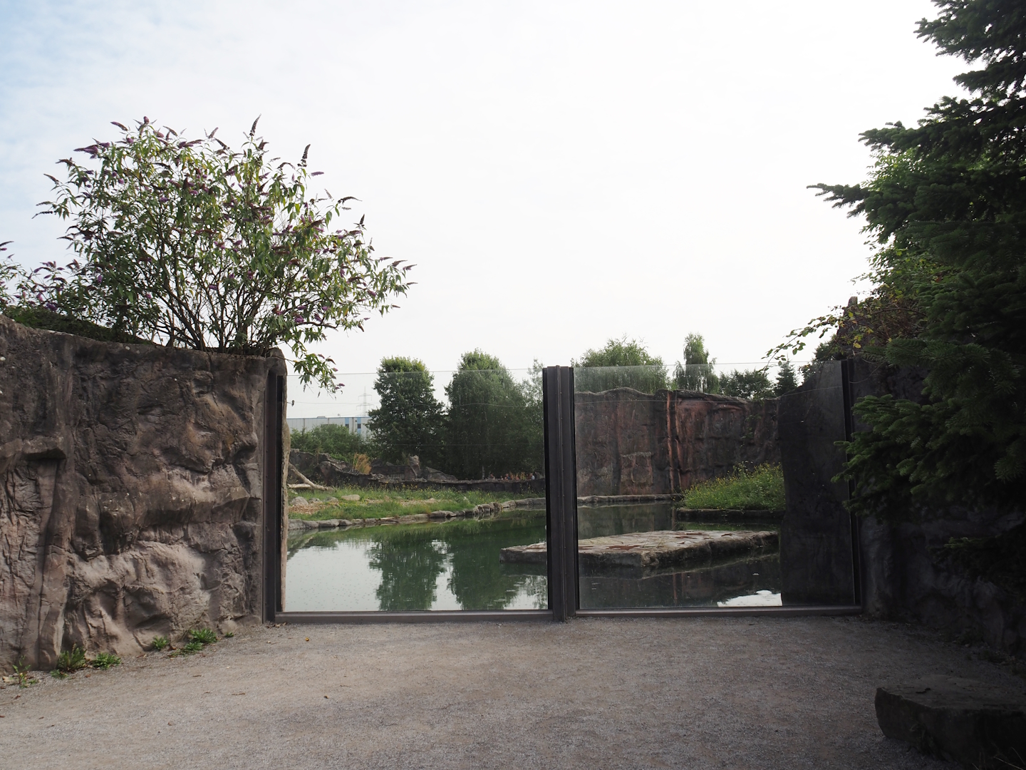 Polar bear exhibit, 2024-08-05