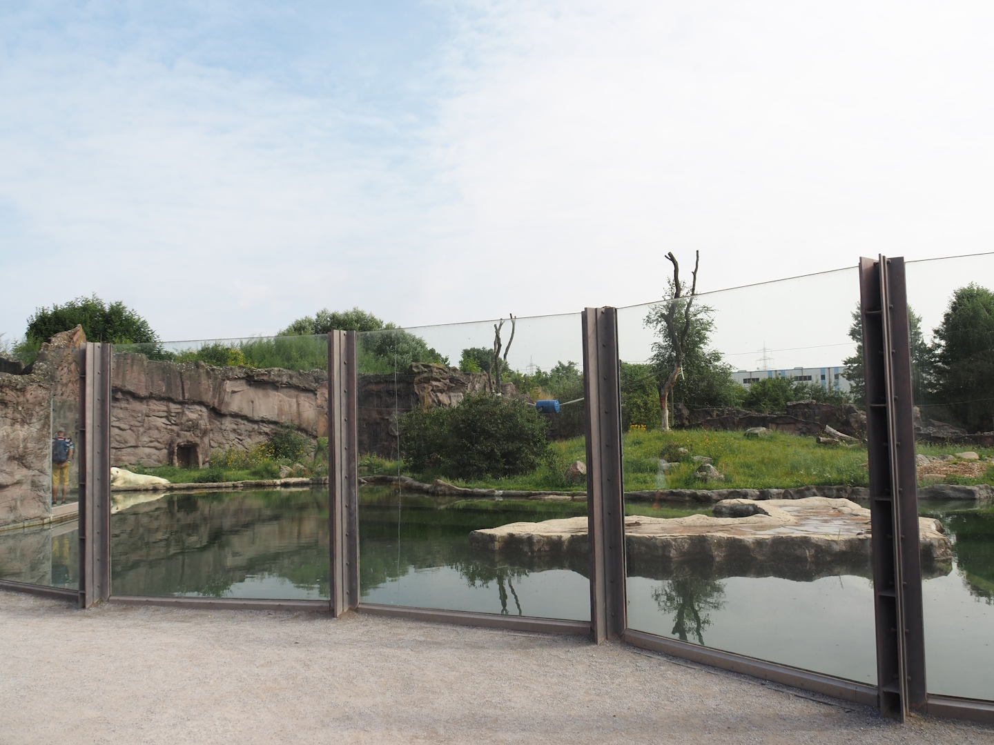 Polar bear exhibit, 2024-08-05