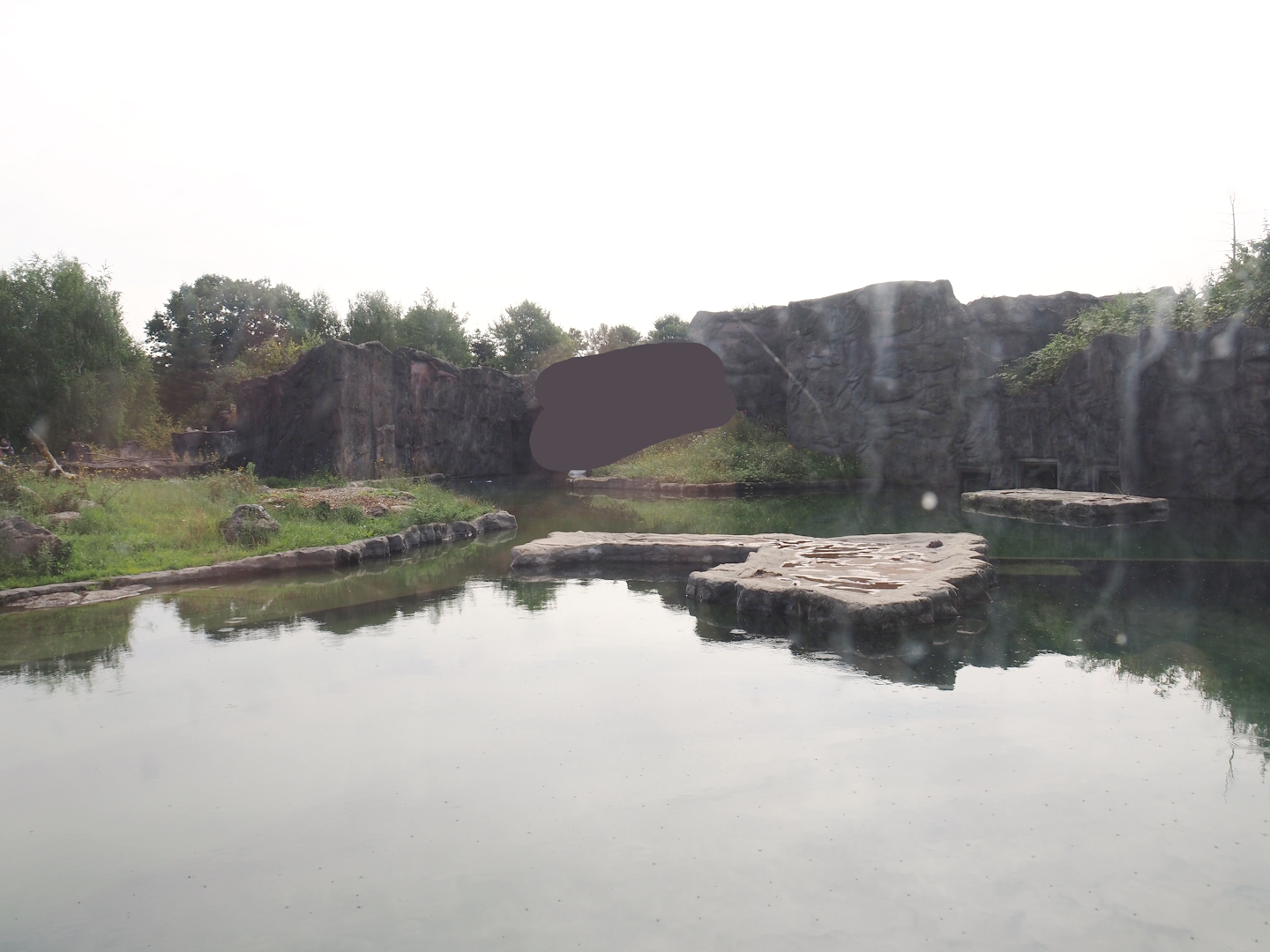 Polar bear exhibit, 2024-08-05
