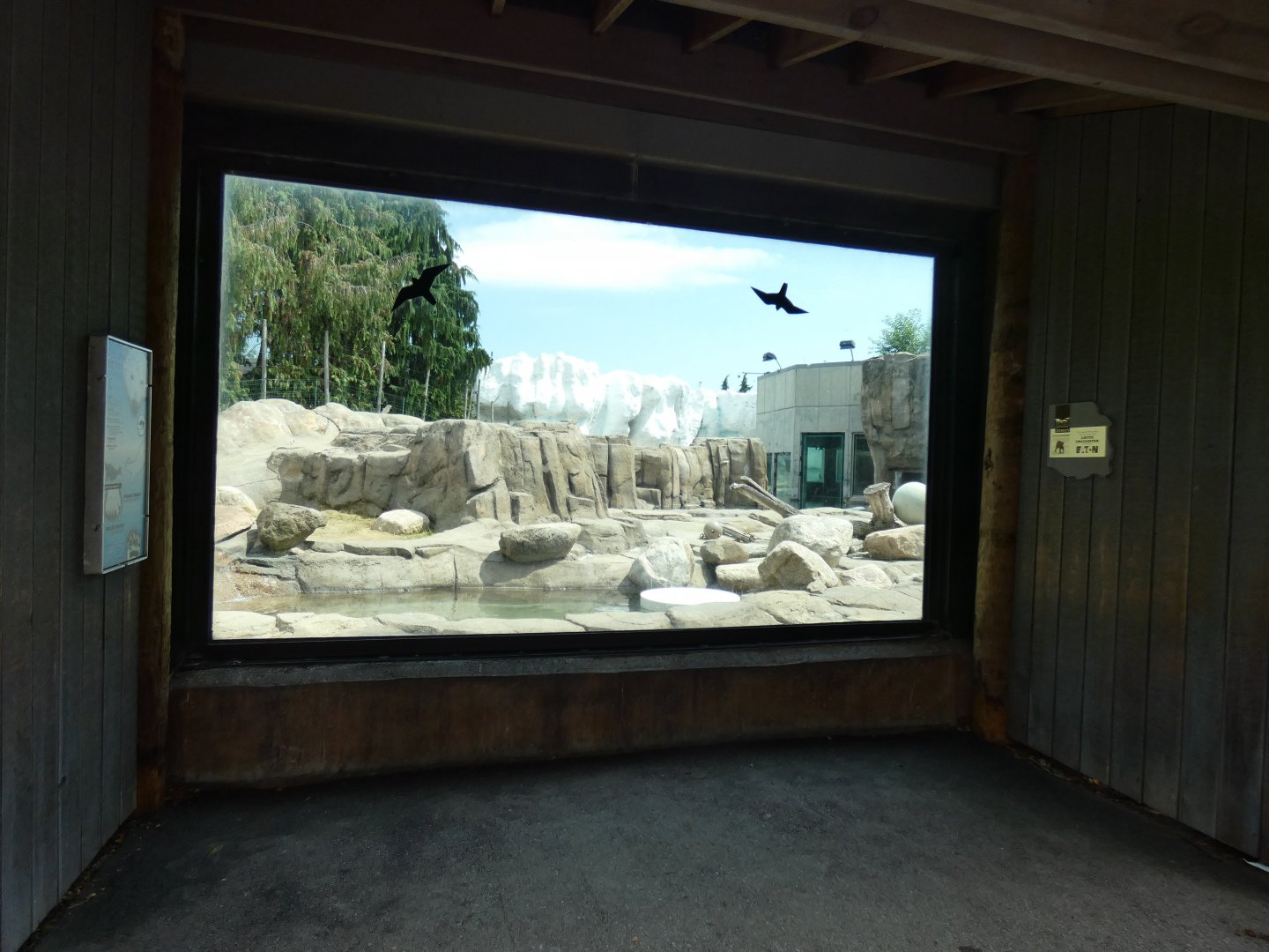 Polar Bear Exhibit, Arctic Encounter - July 2021